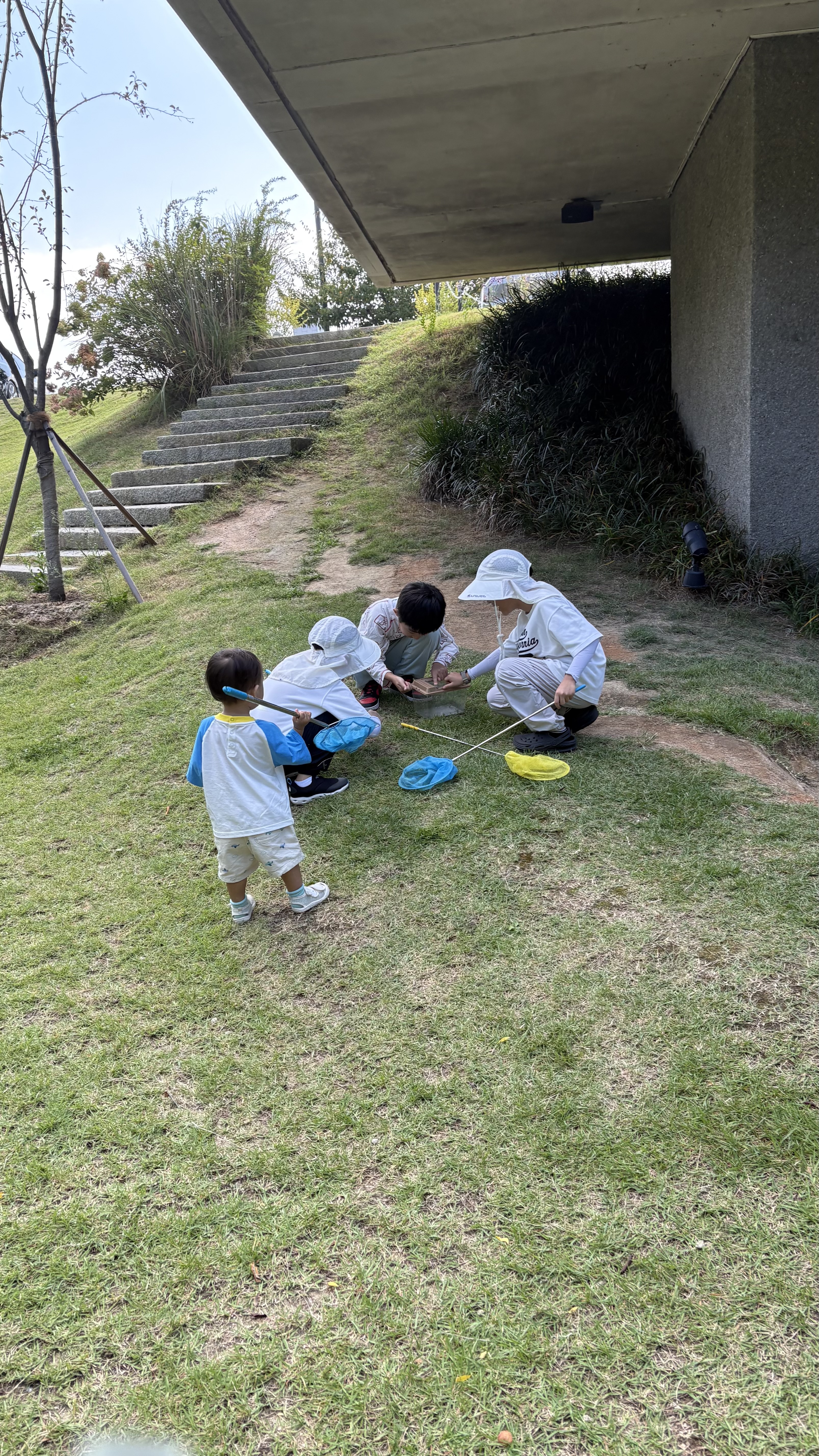 IMG_8232.jpeg