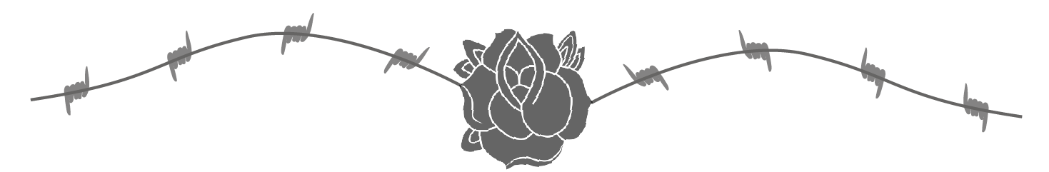 separadores-01 (2).png