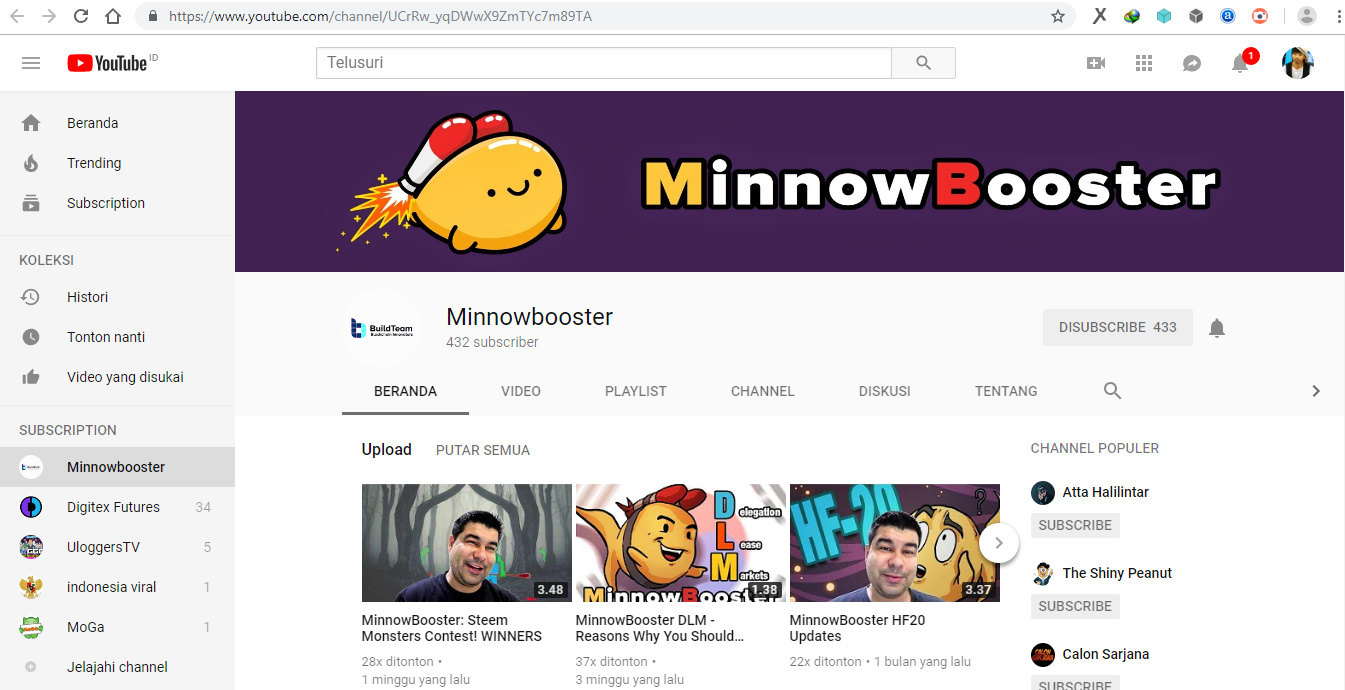 minnow.jpg