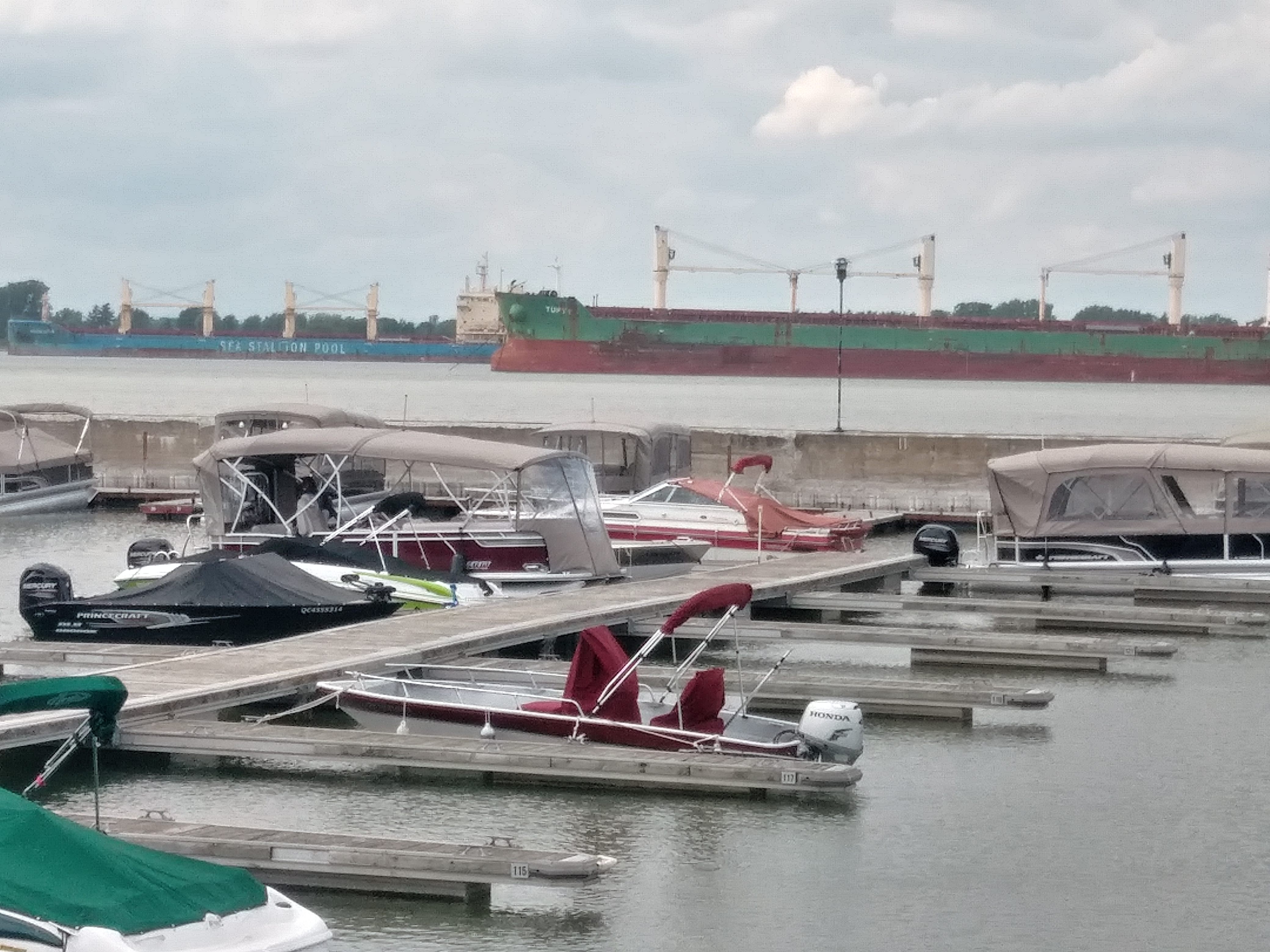 20180607_145532_HDR.jpg