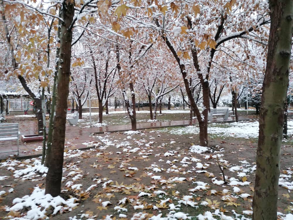 imagepark123 (10).jpeg