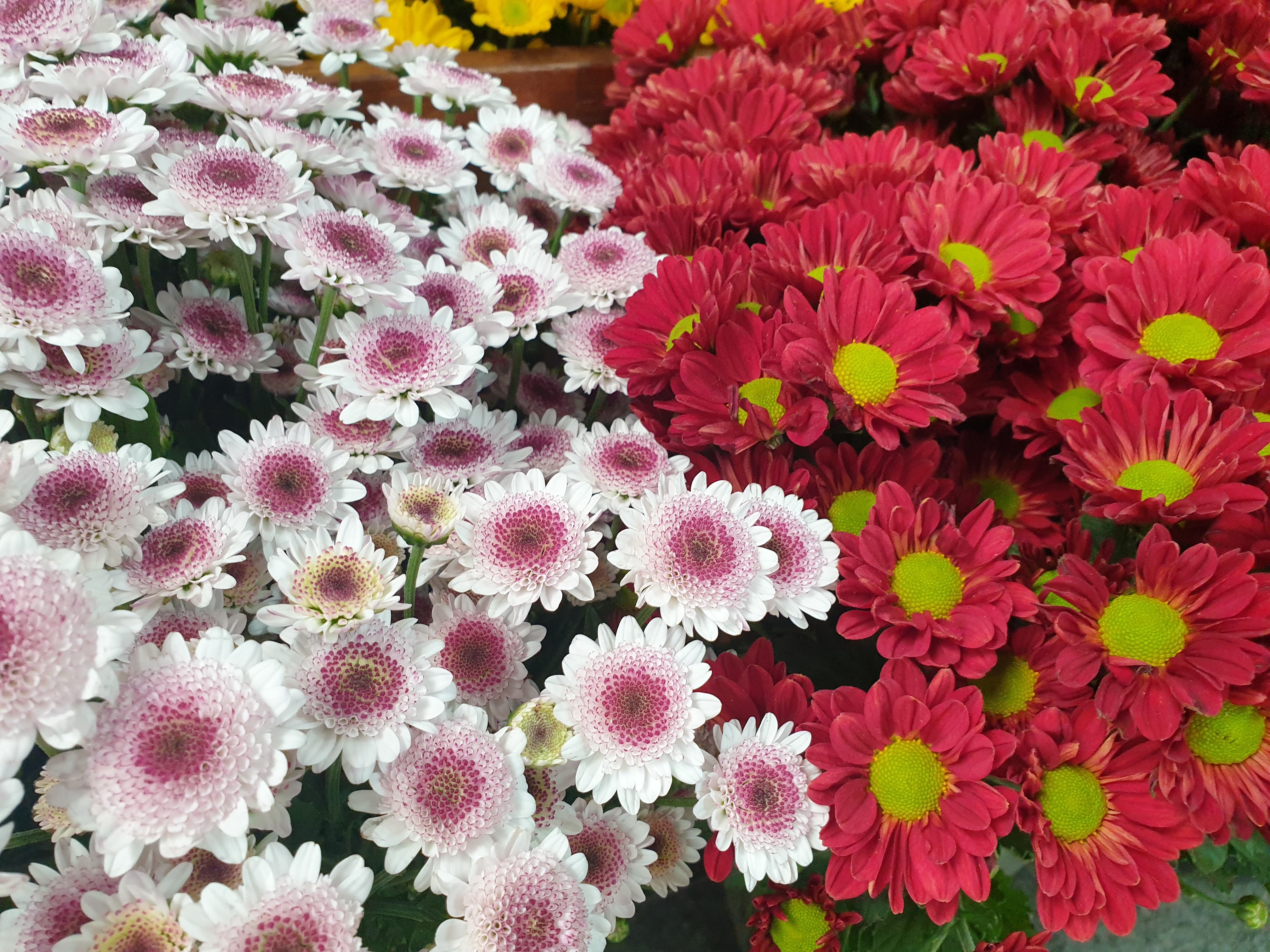 20201009_122417.jpg
