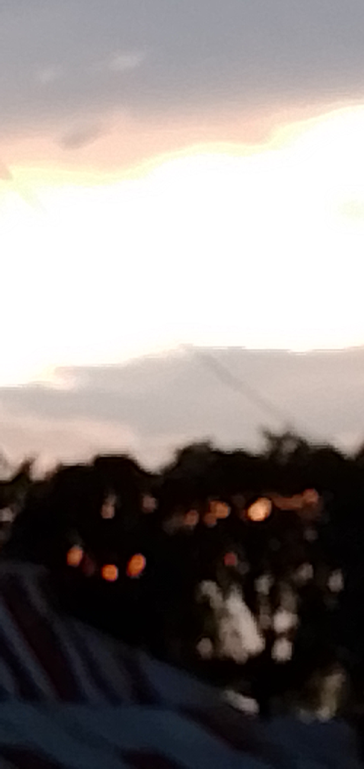 IMG_20210722_184734.jpg