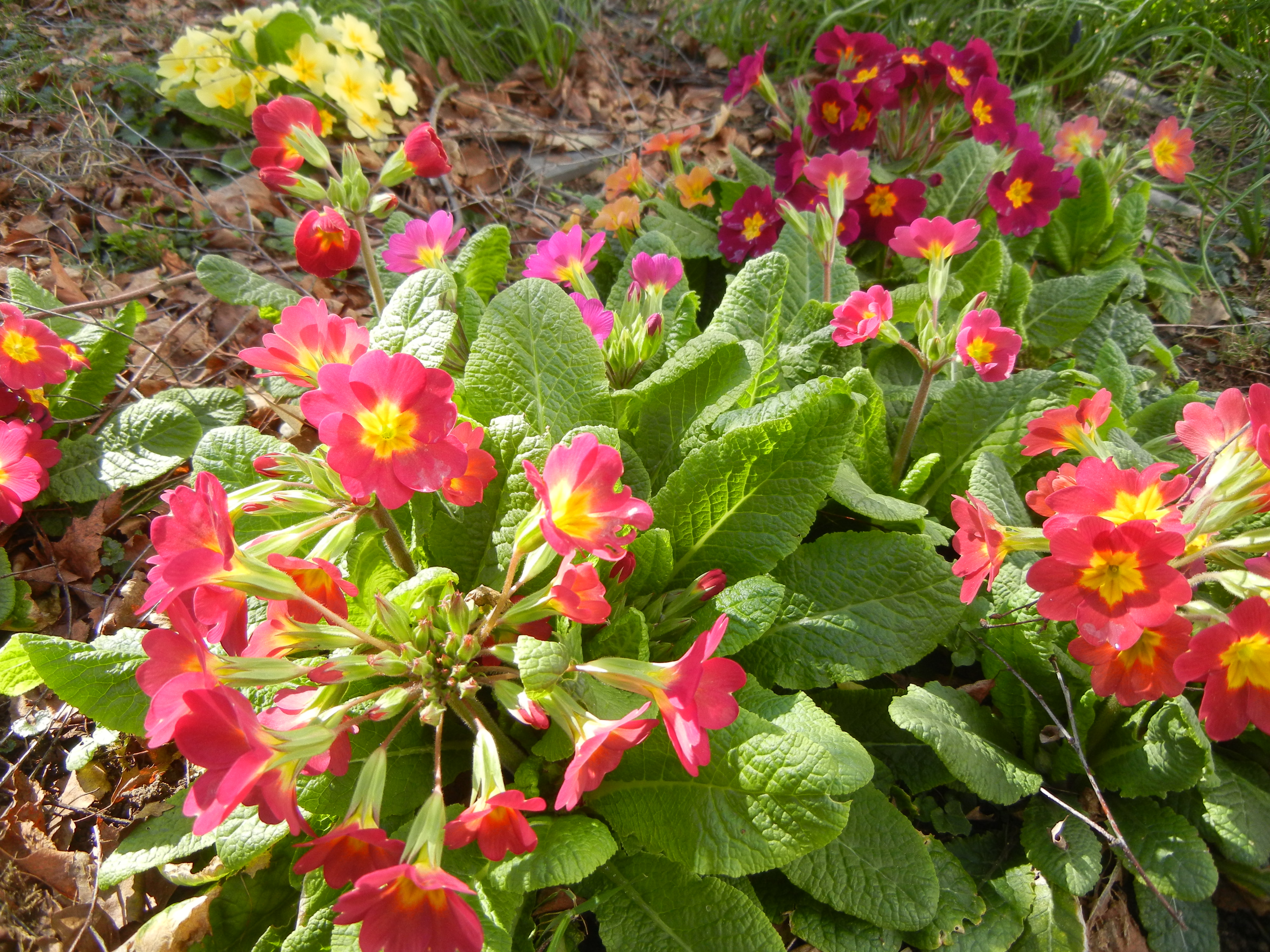 DSCN2085.JPG