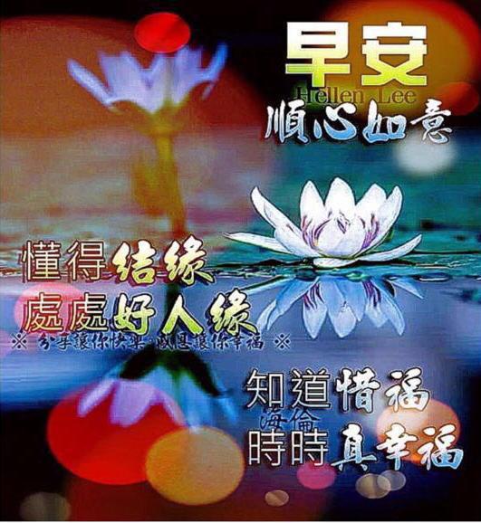 dd123937-4593-4355-9362-bf816e0216c9.jpg