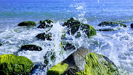 20180910_095910-EFFECTS.jpg