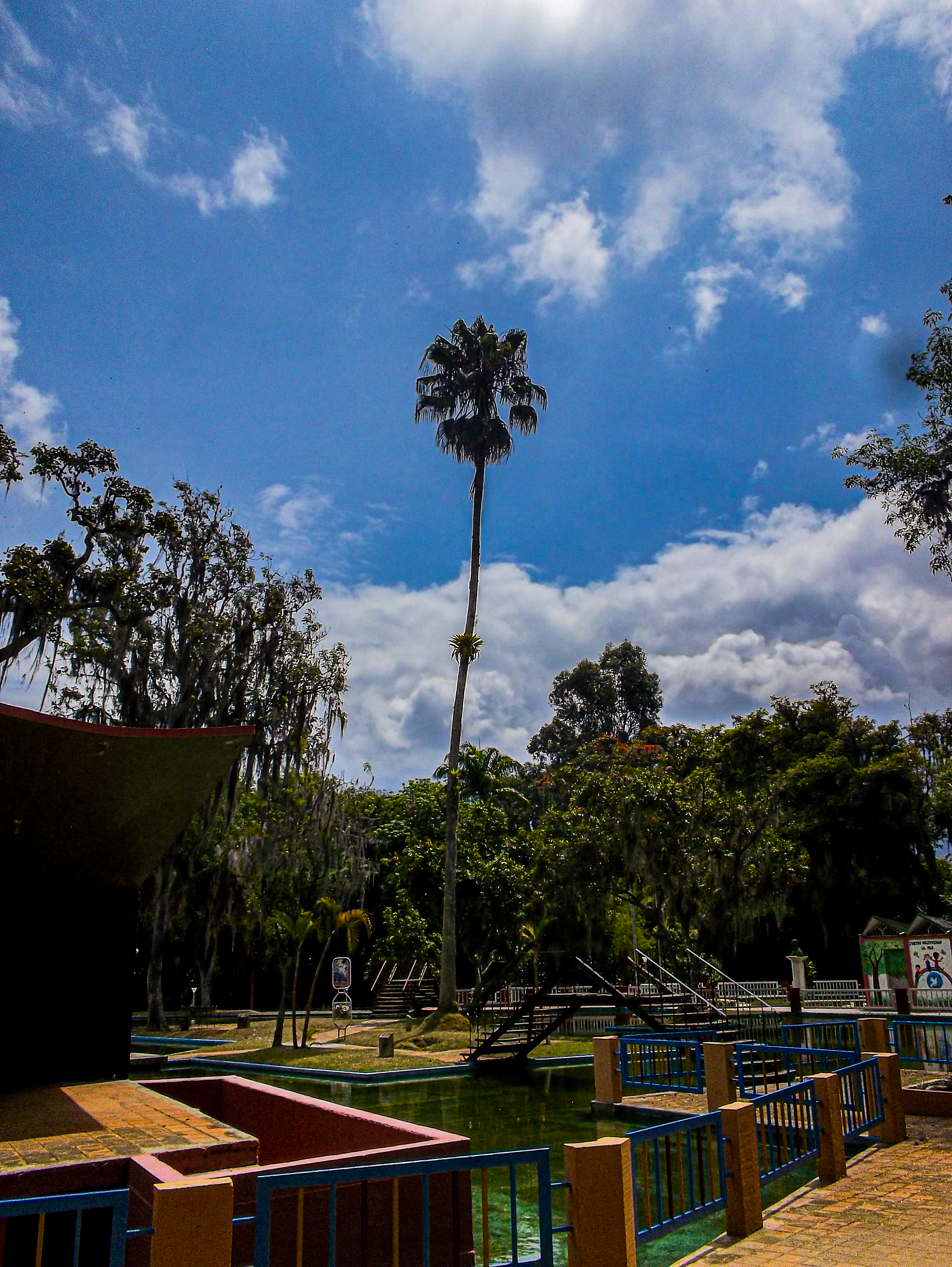 100_5233.jpg