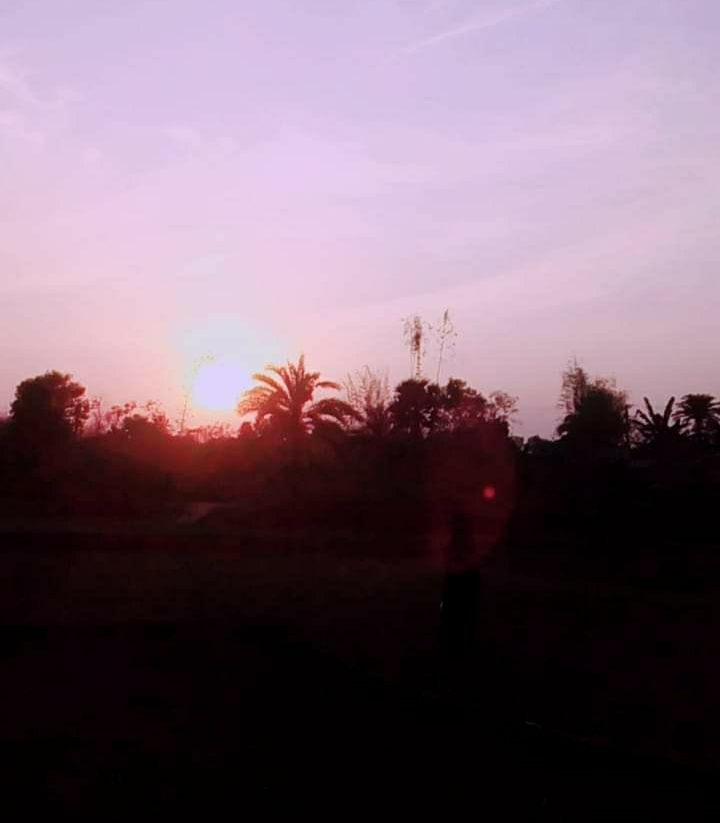 IMG_20200322_093445.jpg