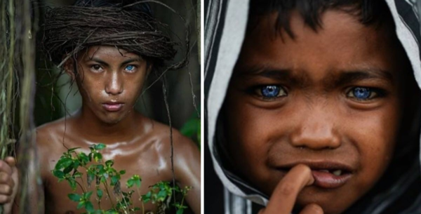 blue-tribe-featured-image.jpg.png