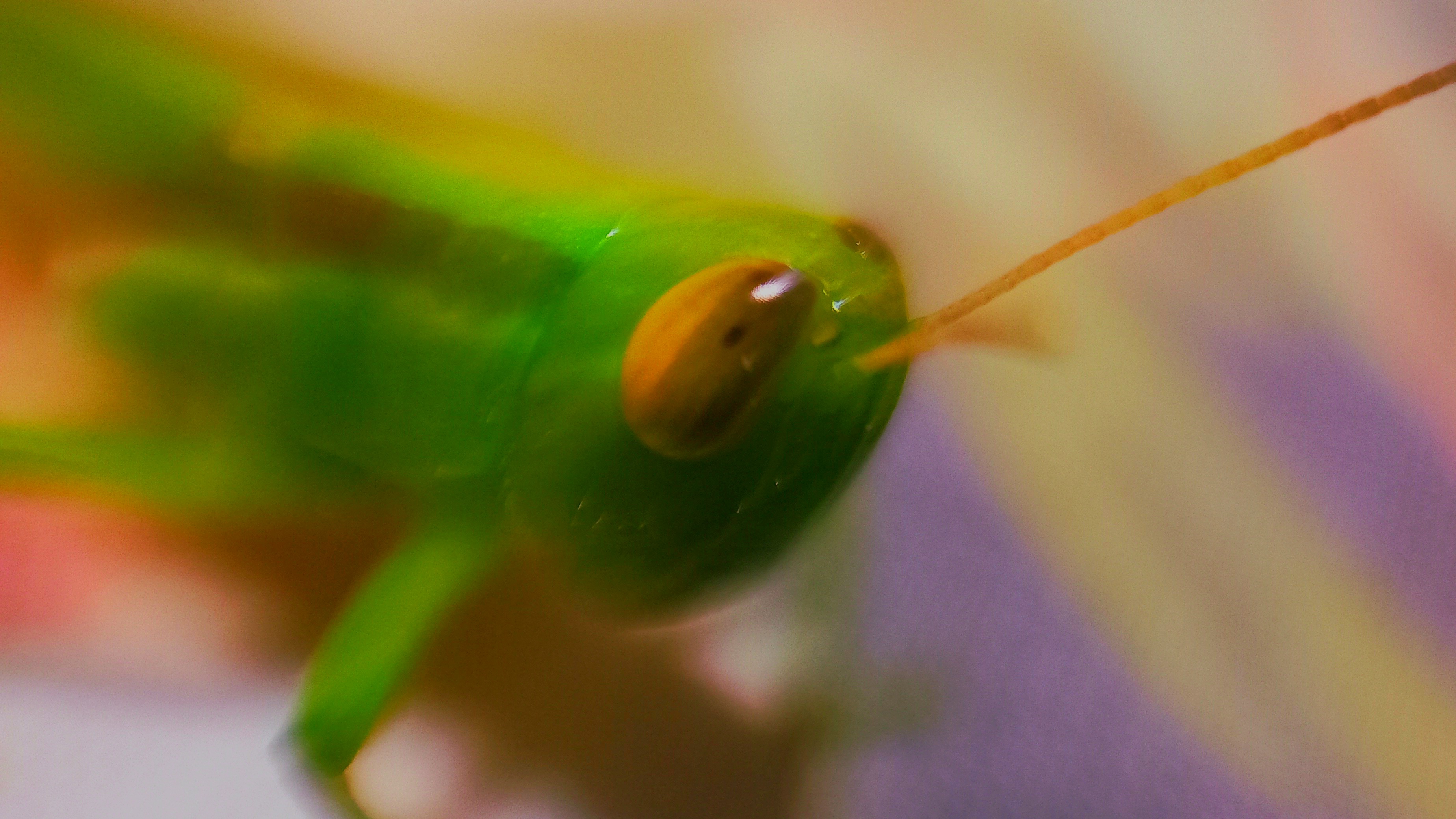 20220620_214257.jpg