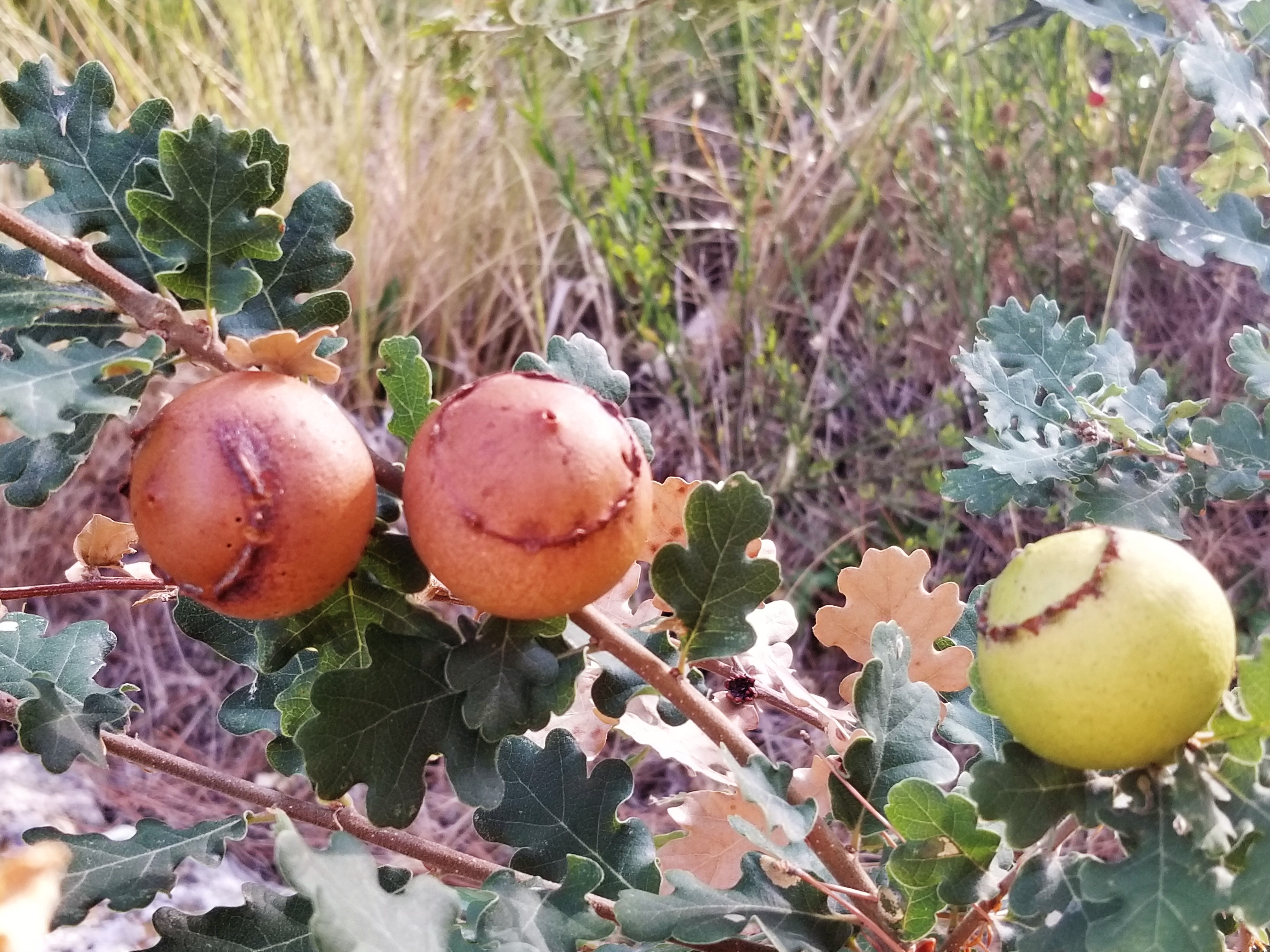 20180819_095722.jpg