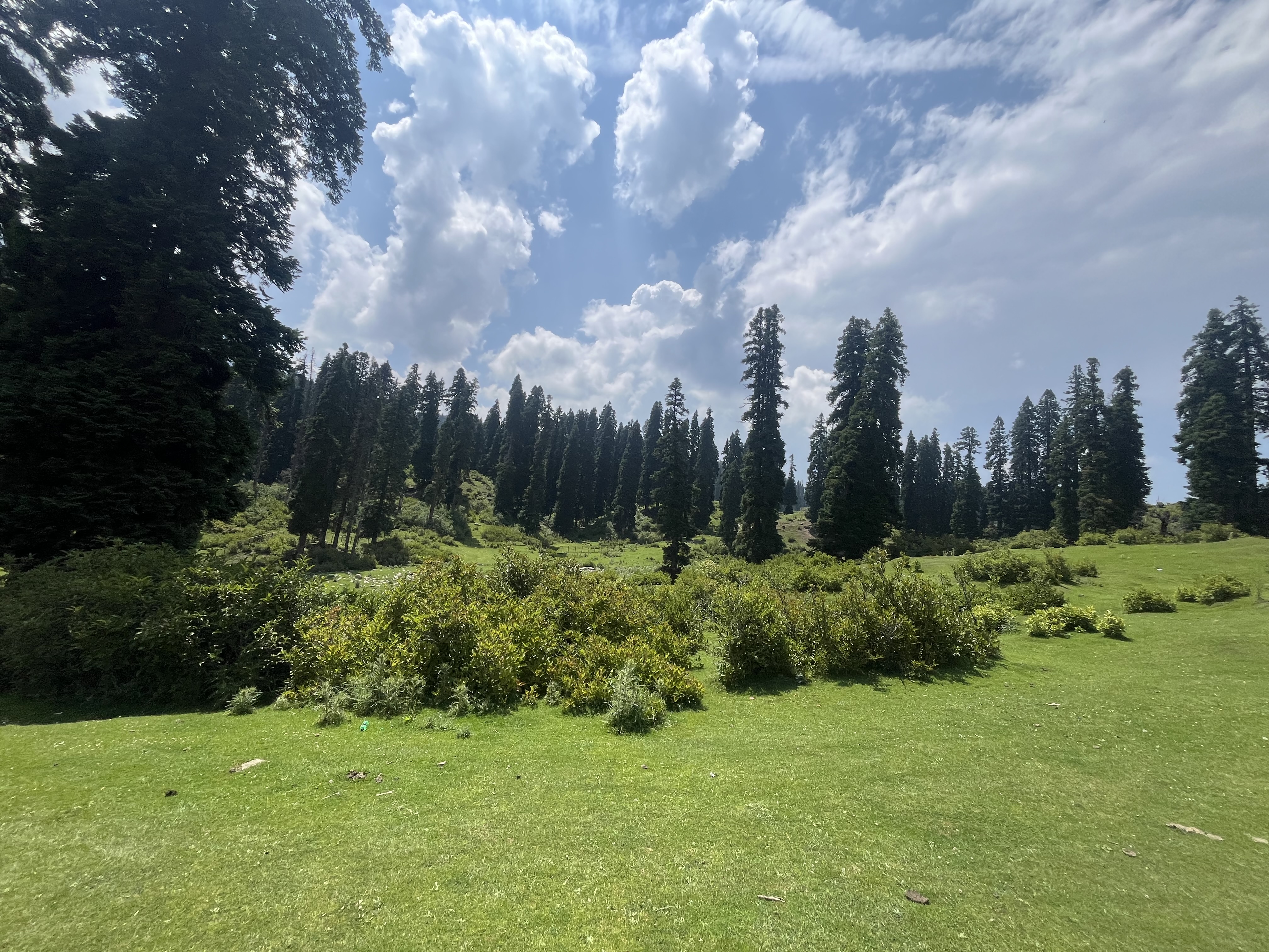 IMG_0686.jpeg