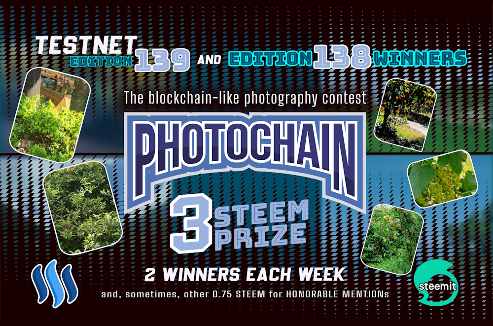 photochain testnet edition steem cover.jpg