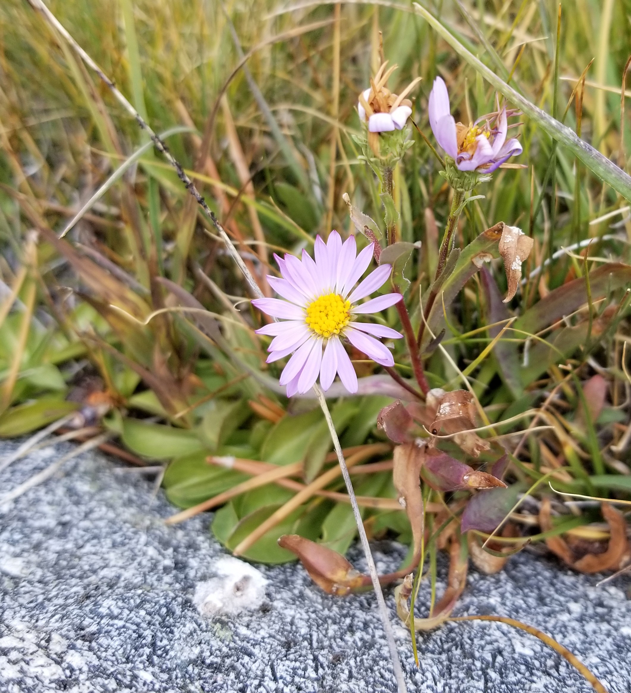 20190923_131726.jpg