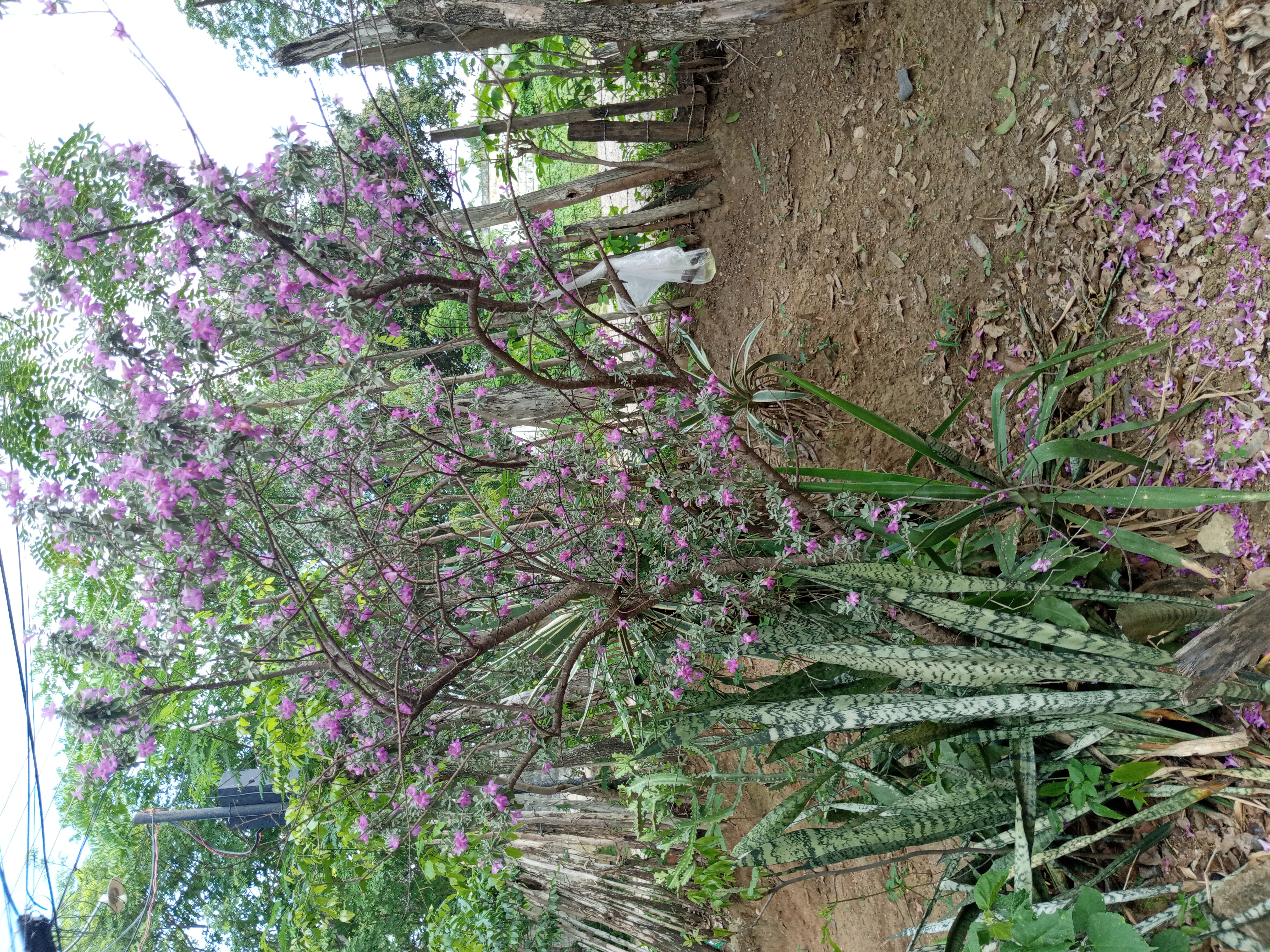 20220621_095942.jpg