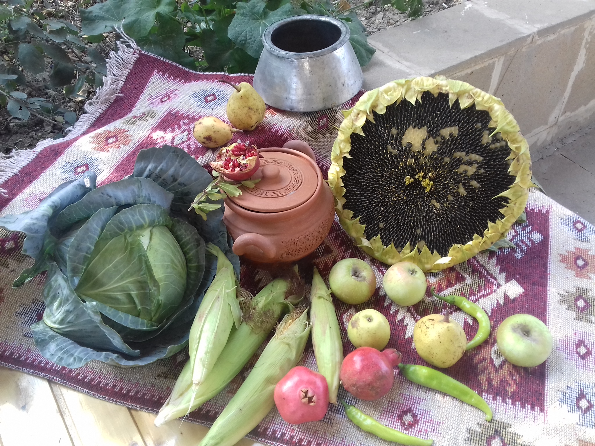 20180928_152035.jpg