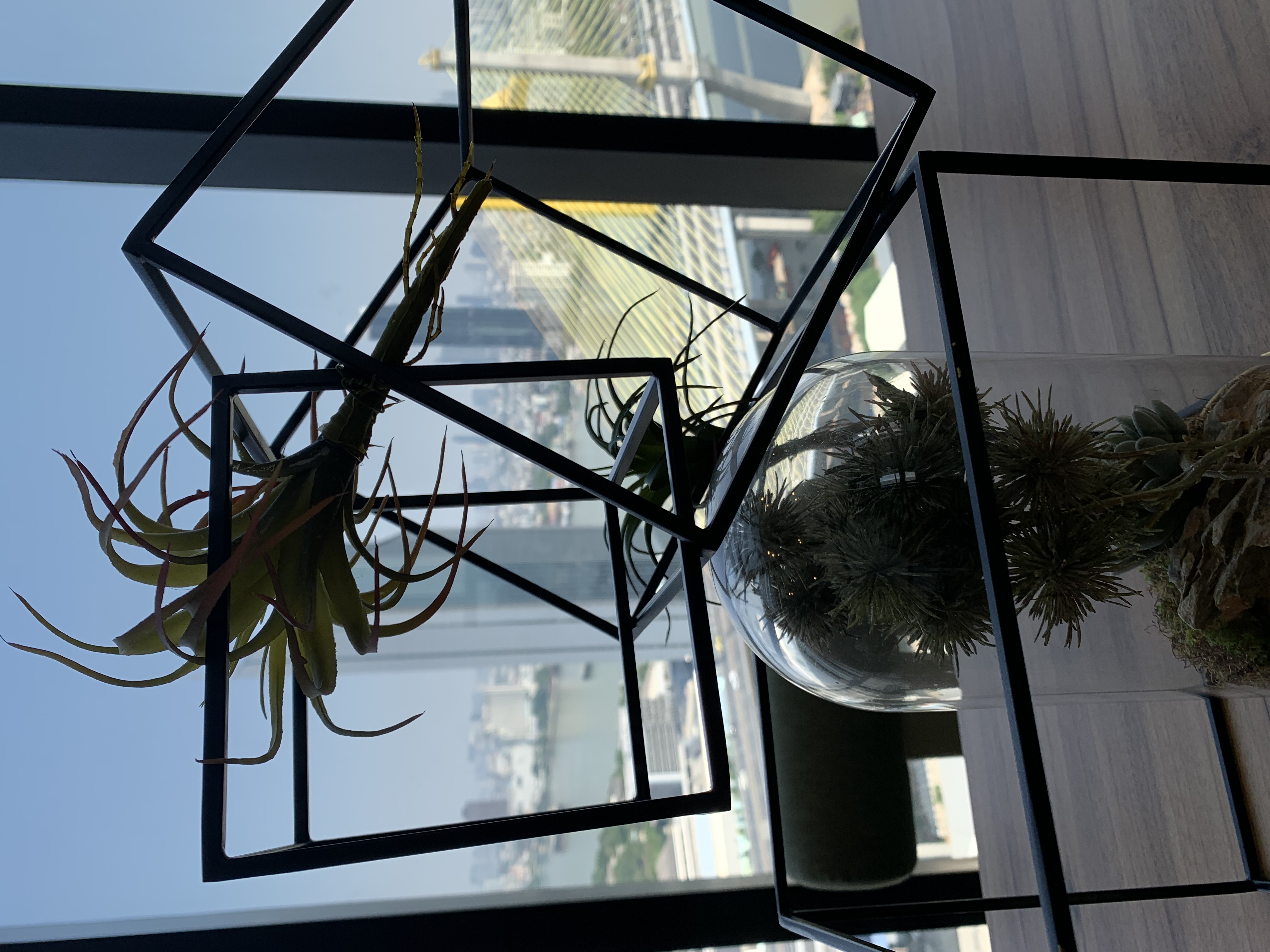 my brother’s condominium17.jpg