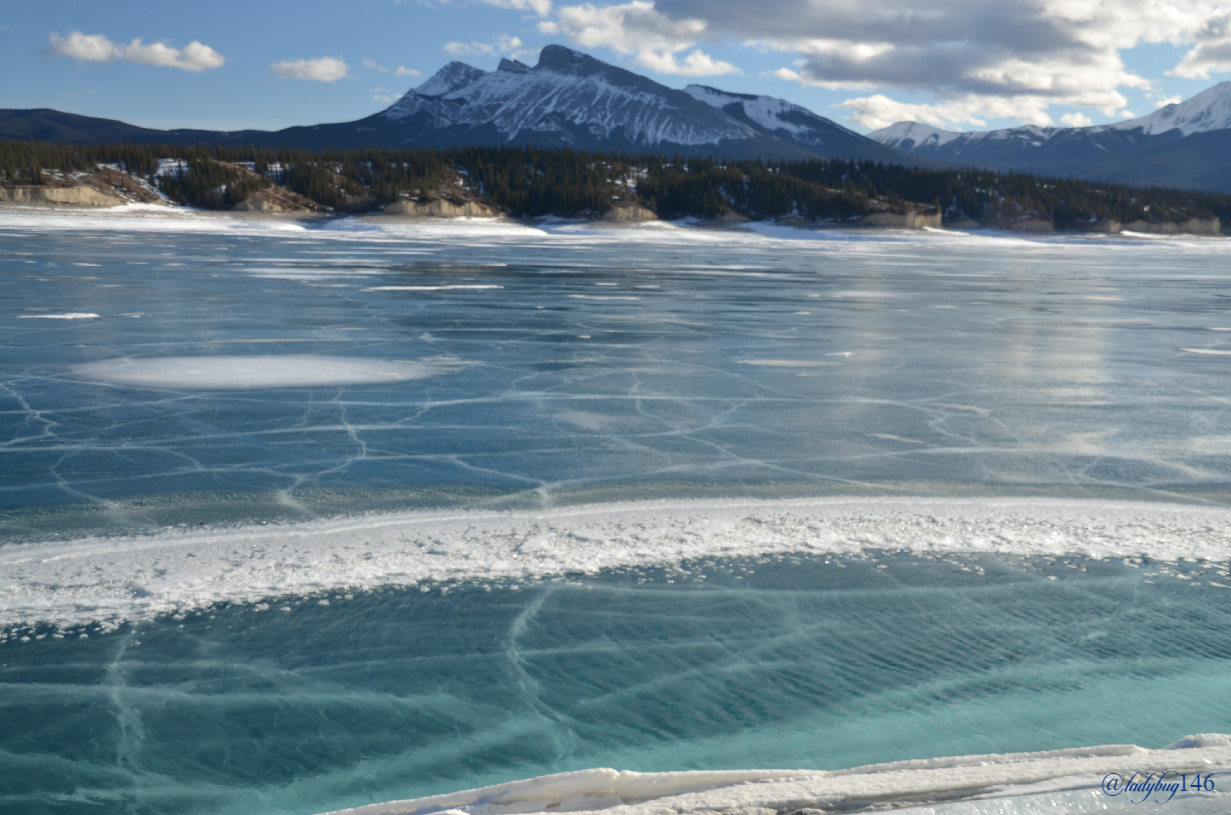 abraham lake (2).jpg