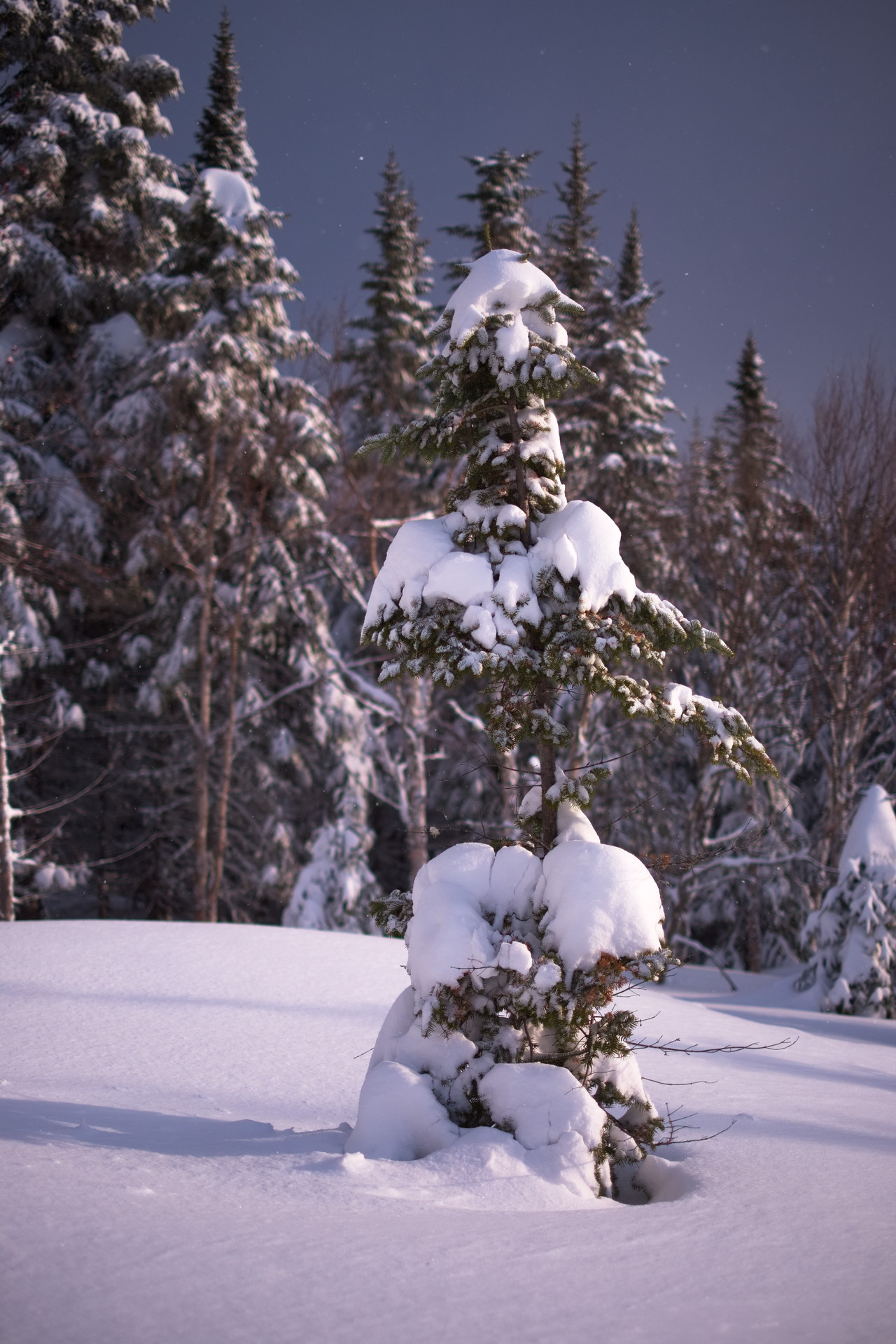 DSCF8919.jpg