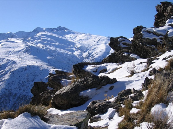 Parque-Nacional-Sierra-Nevada3.jpg