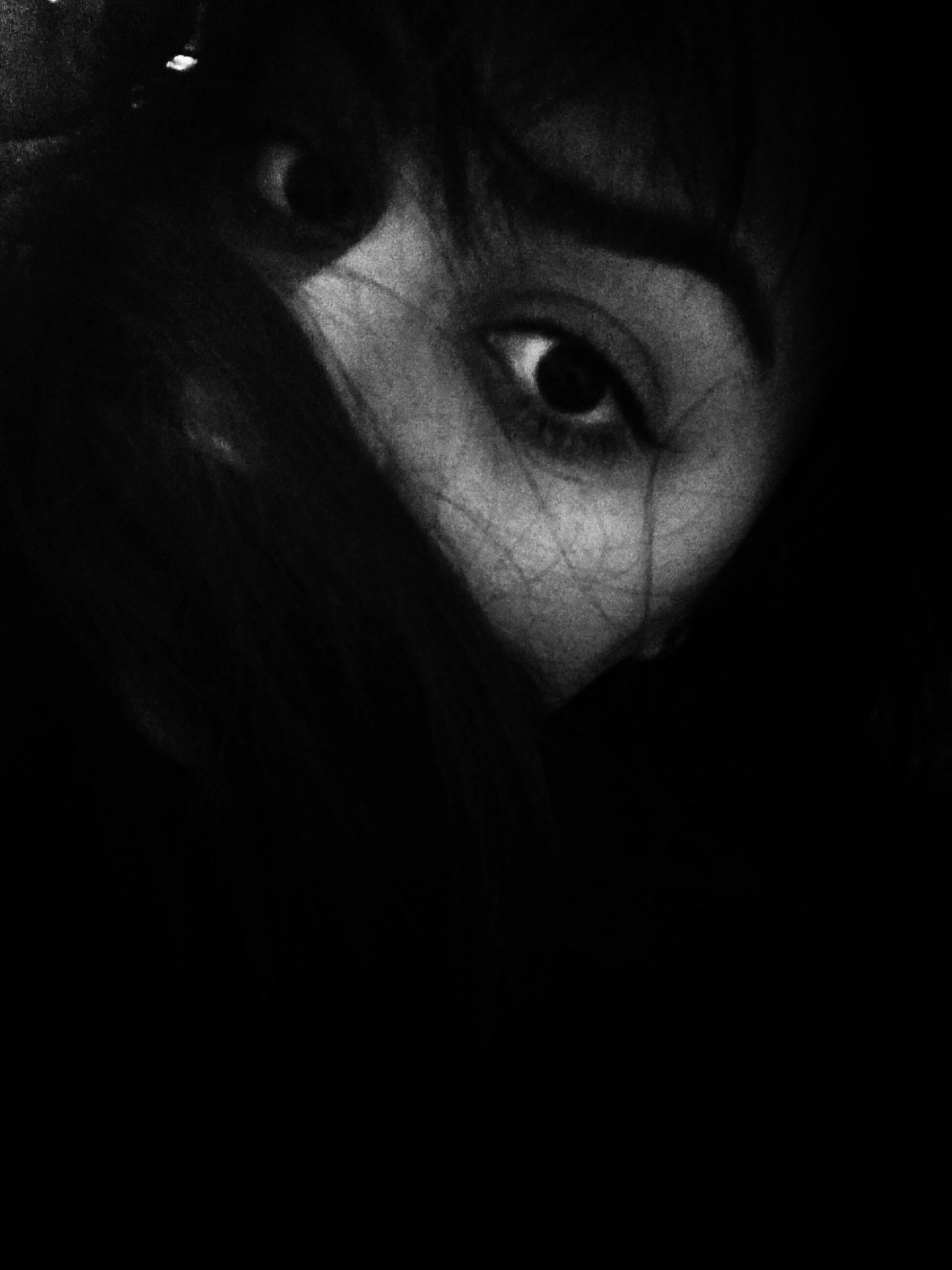 1130112.jpg