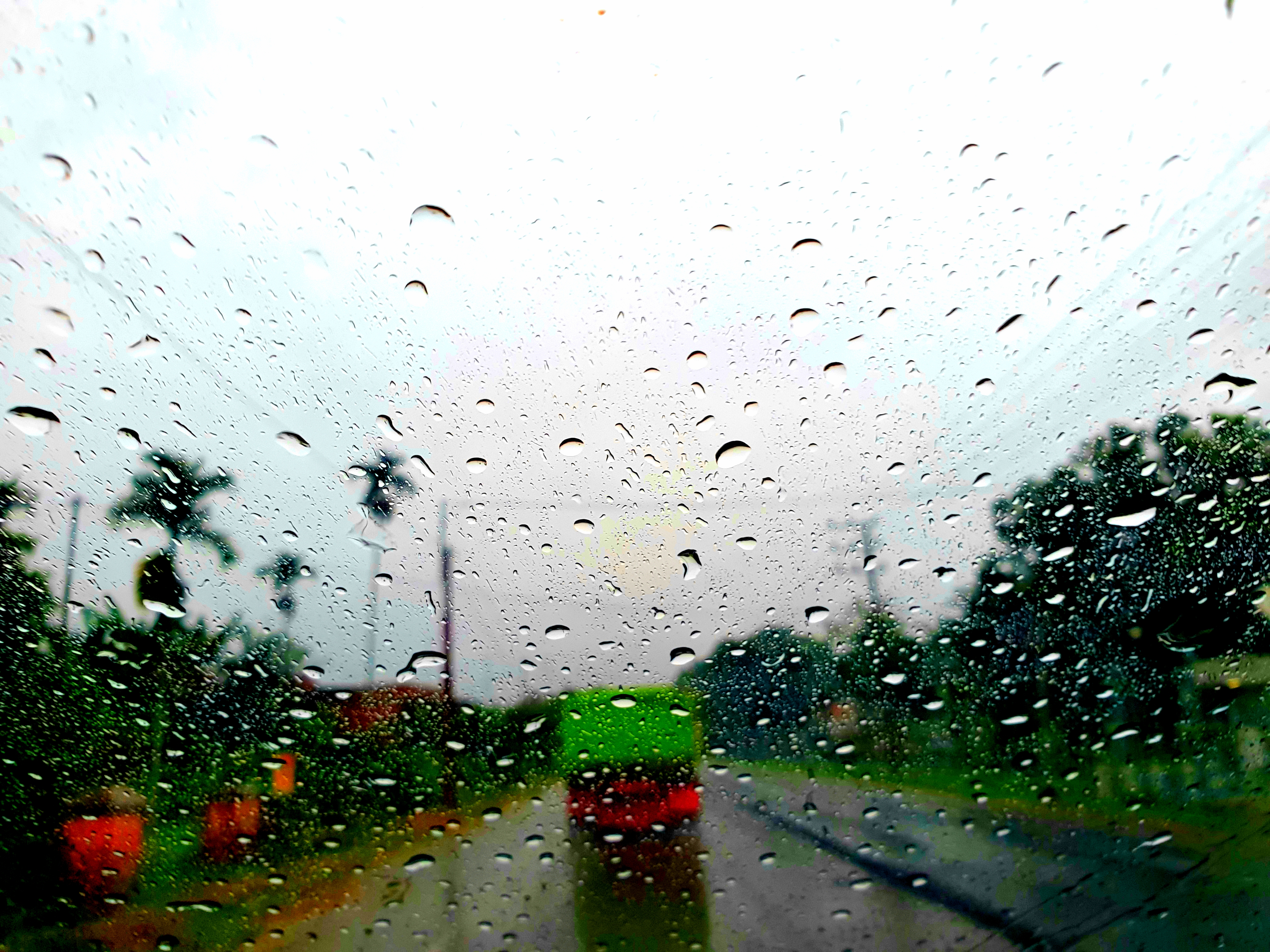 20210629_084342.jpg