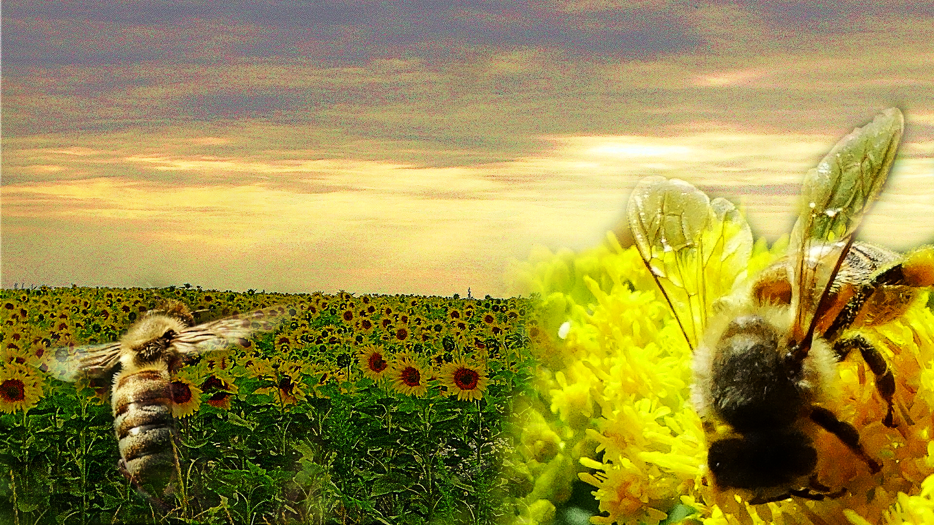 1yyDSC04447 (1).png