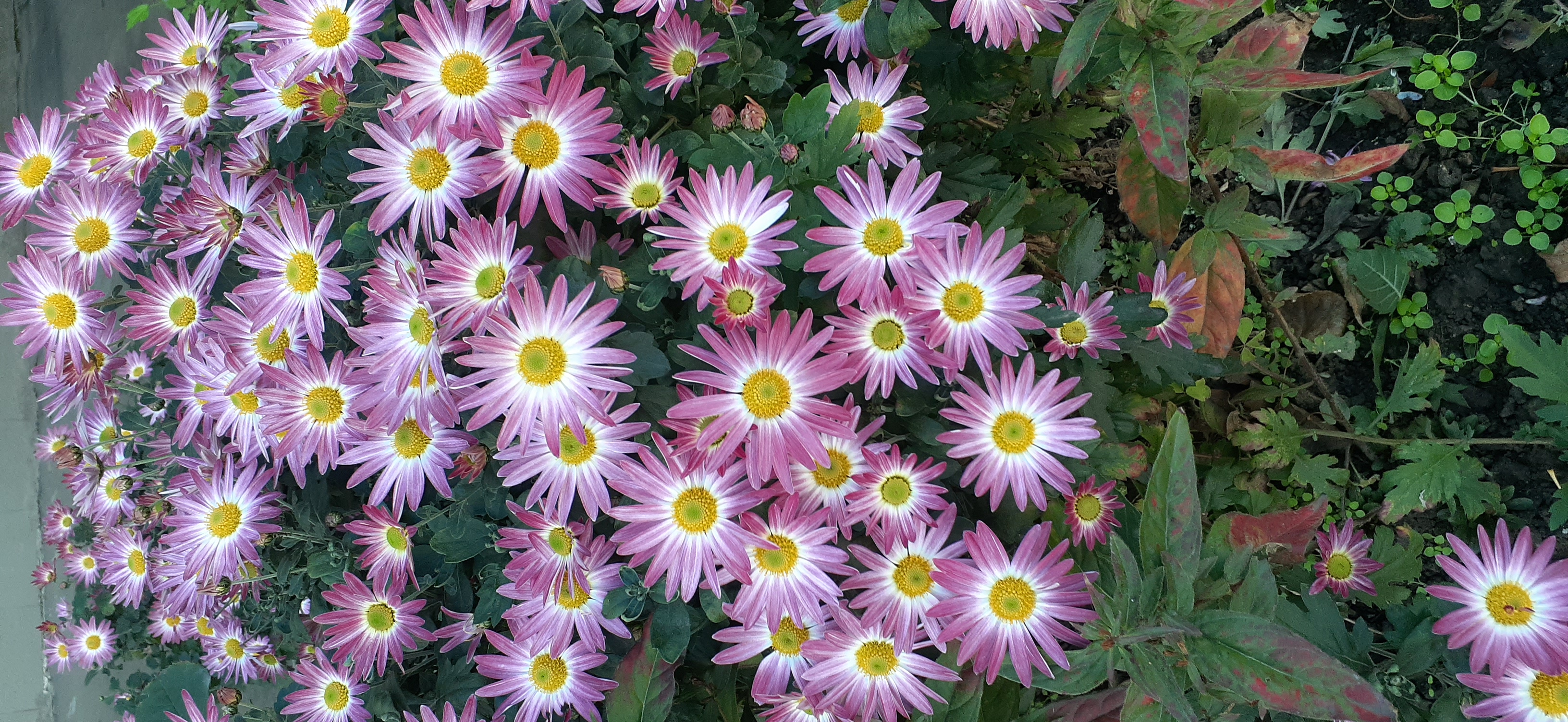 20201107_090748.jpg