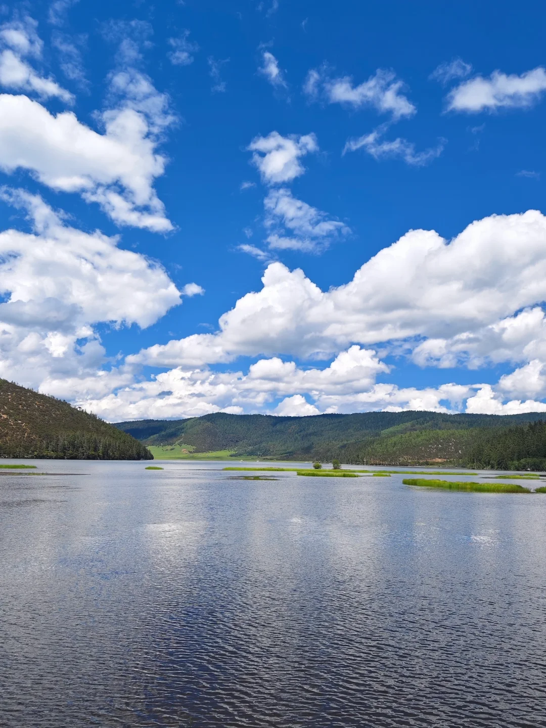 212.webp