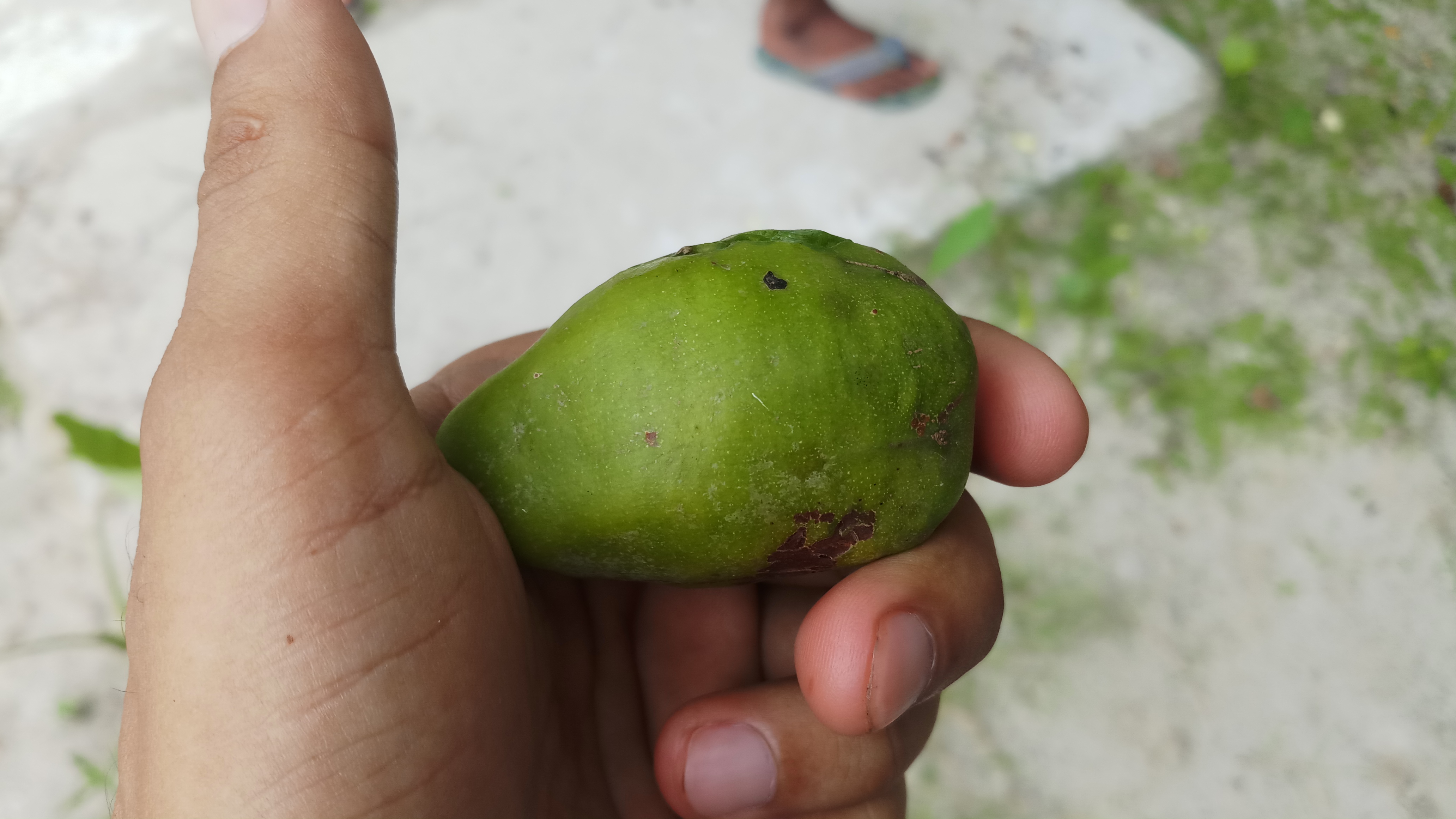 20190703_100616.jpg