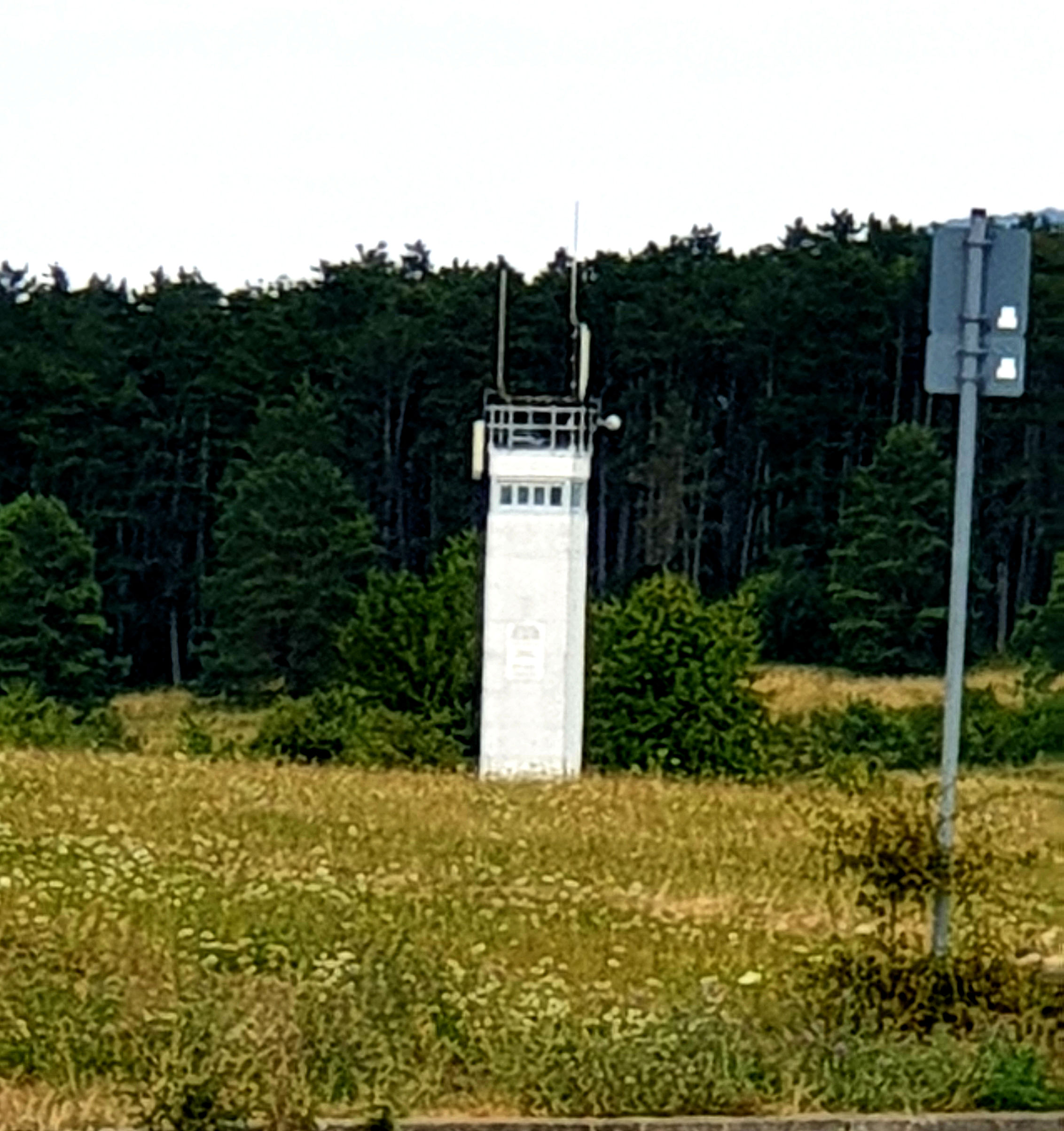 20190728_201607.jpg