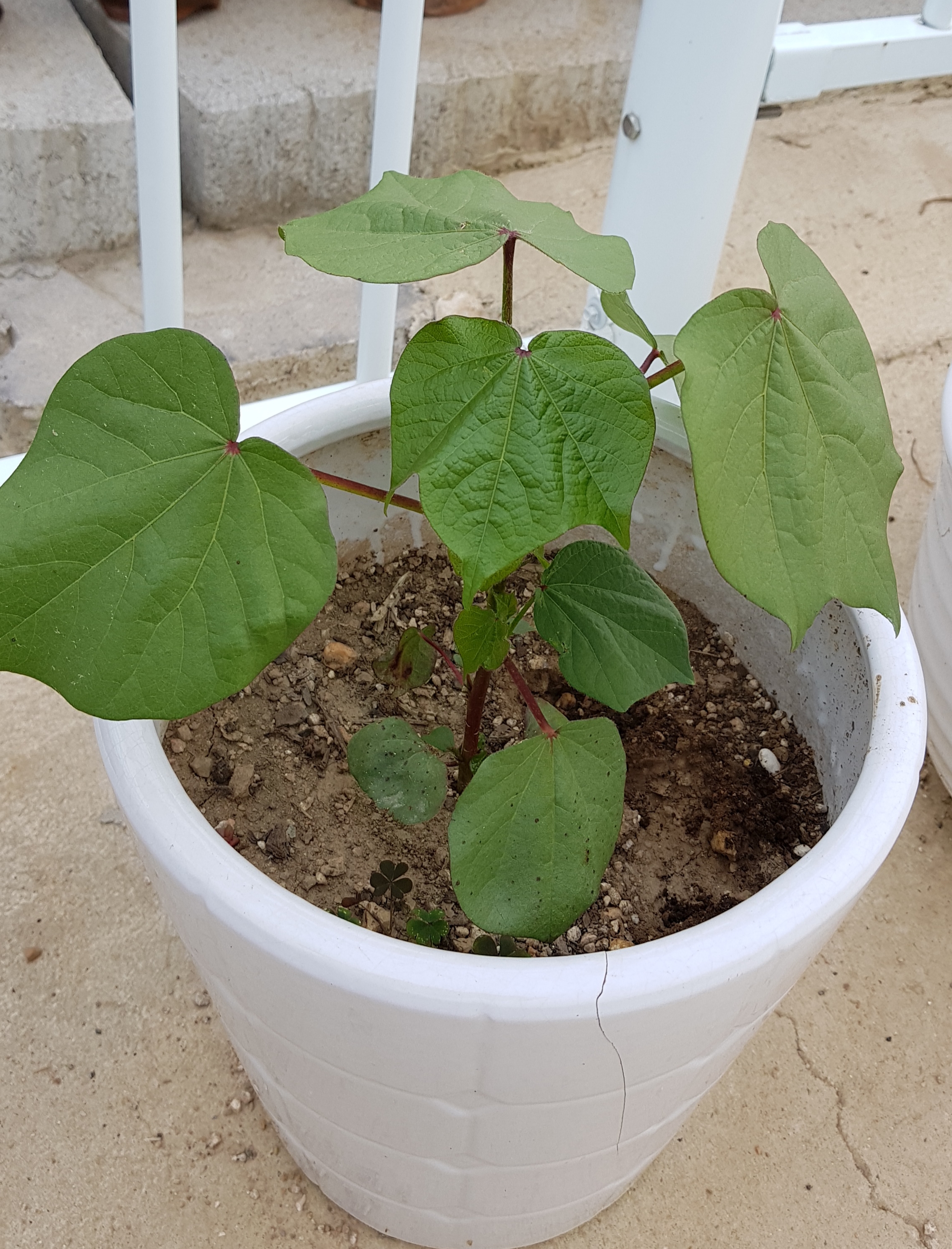 20181003_234246.jpg