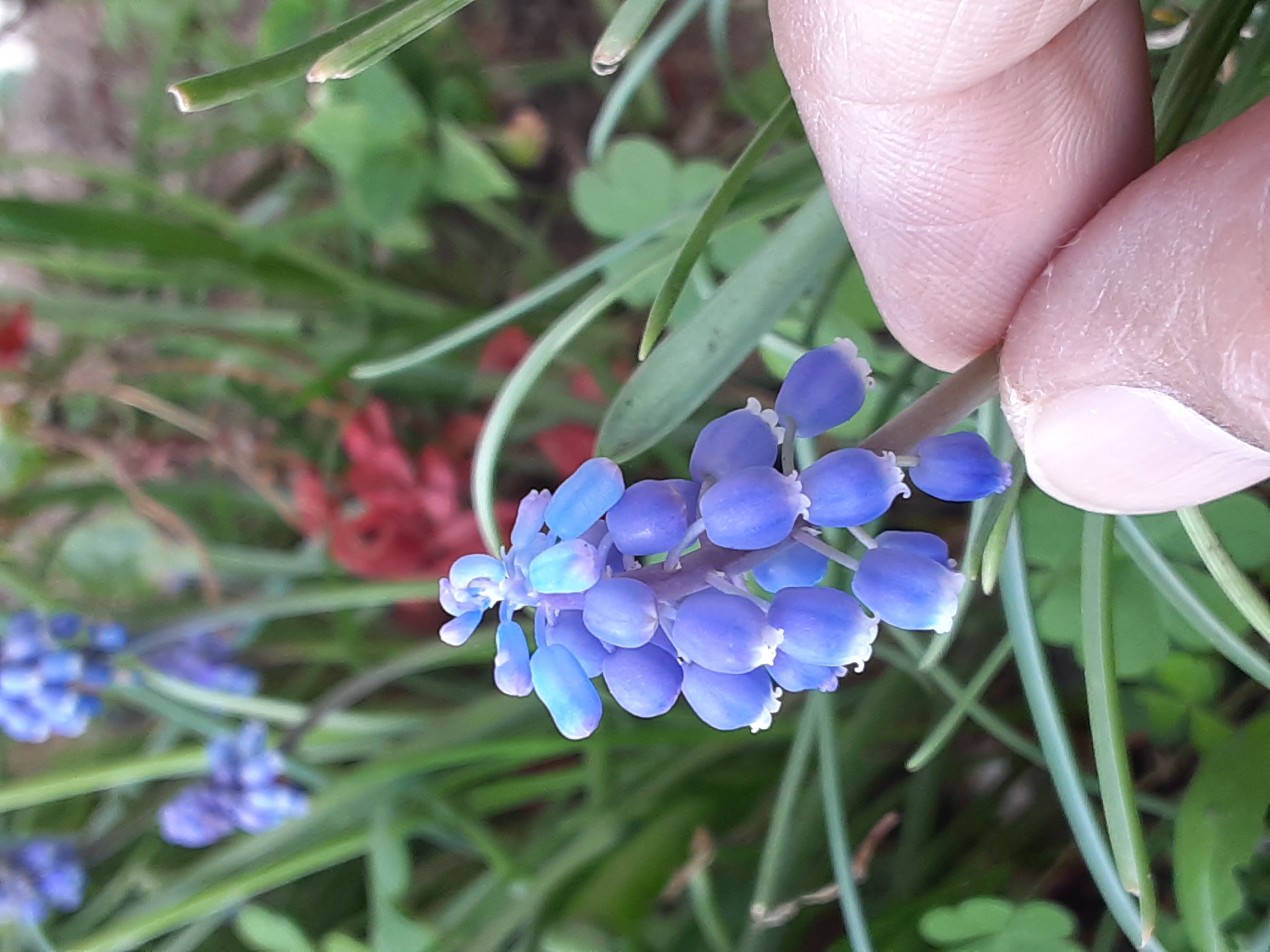 20230319_145103.jpg
