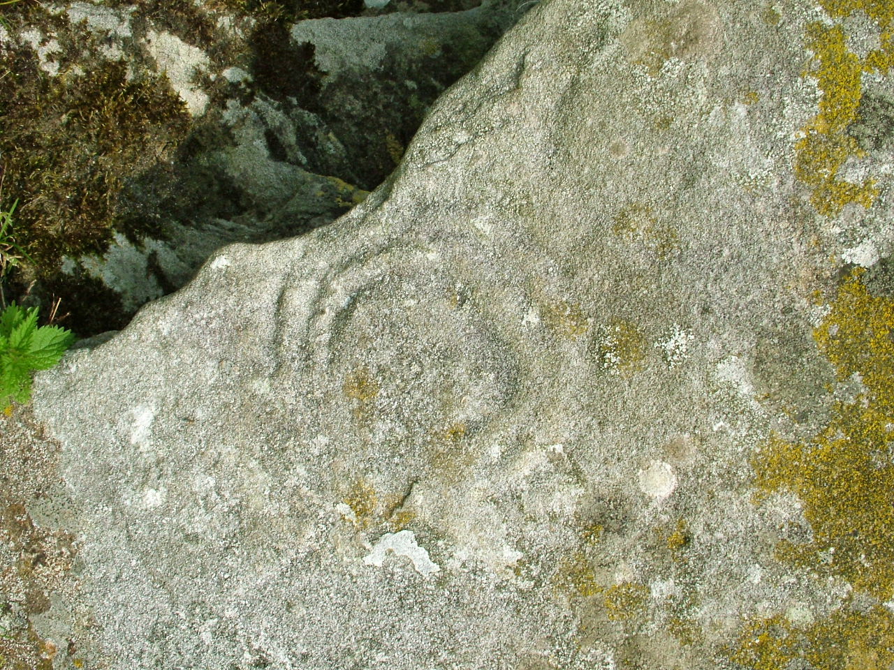 ntndsp-03.JPG
