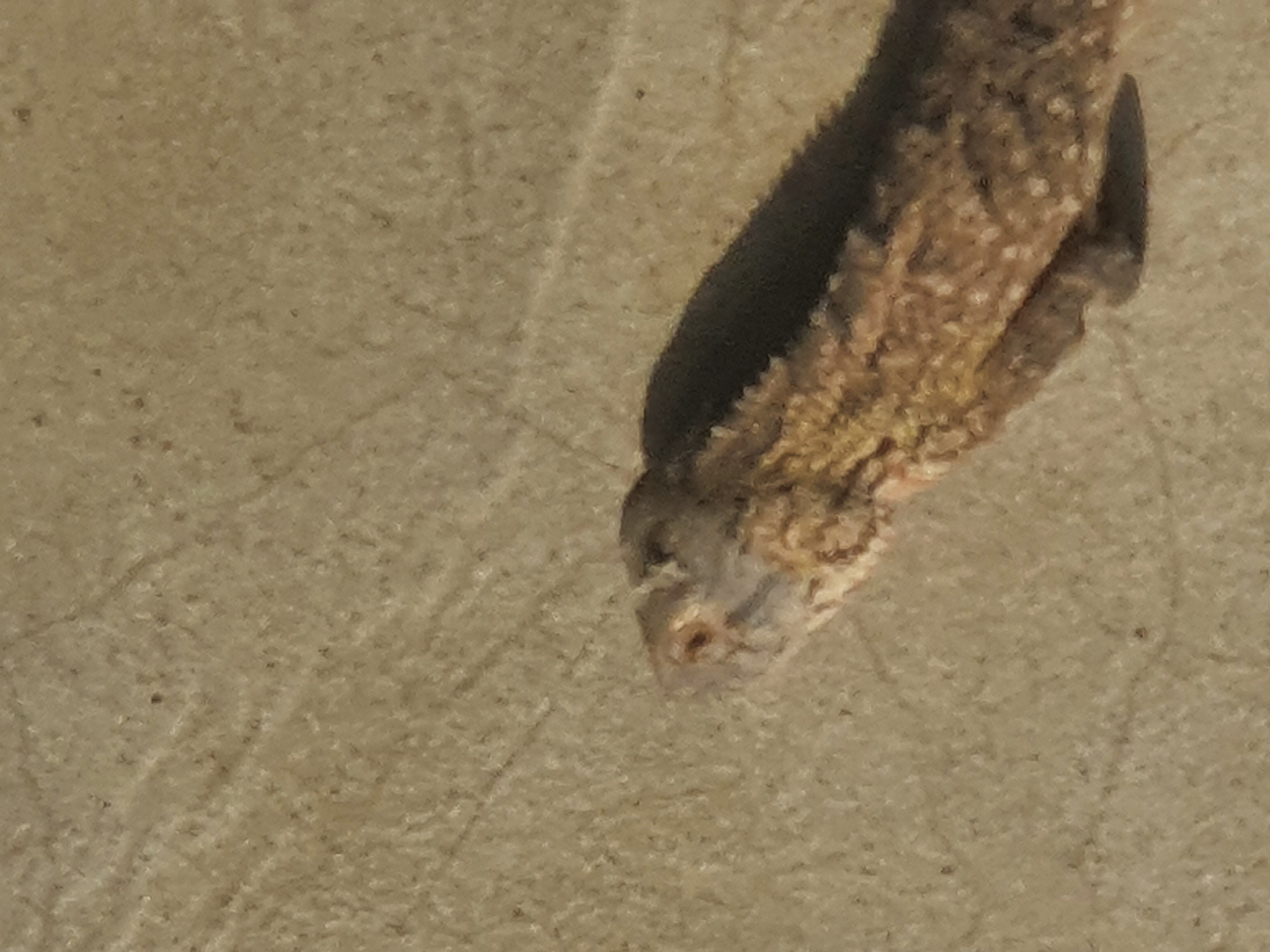 20260225_135306.jpg