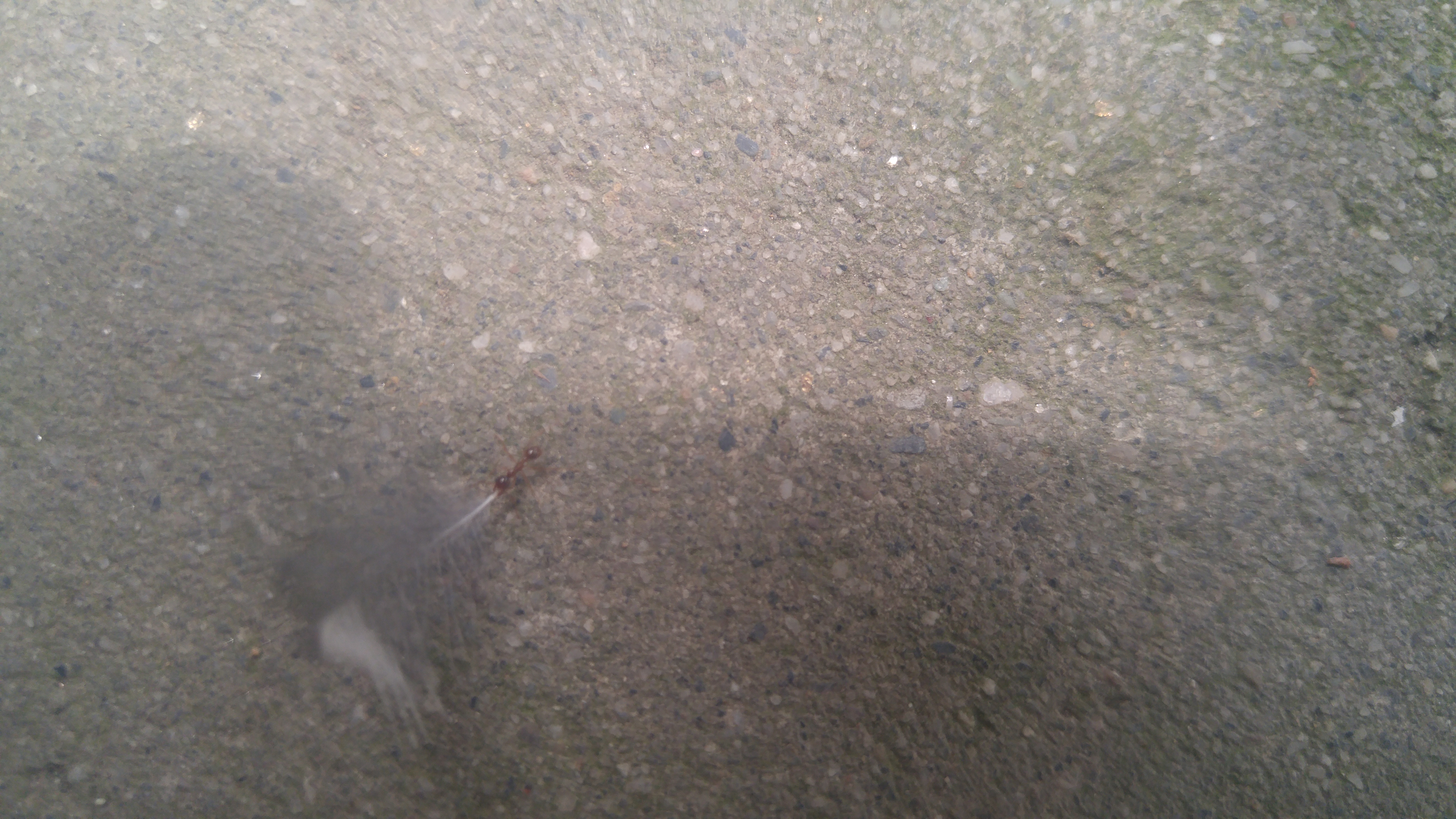 20180711_103818.jpg