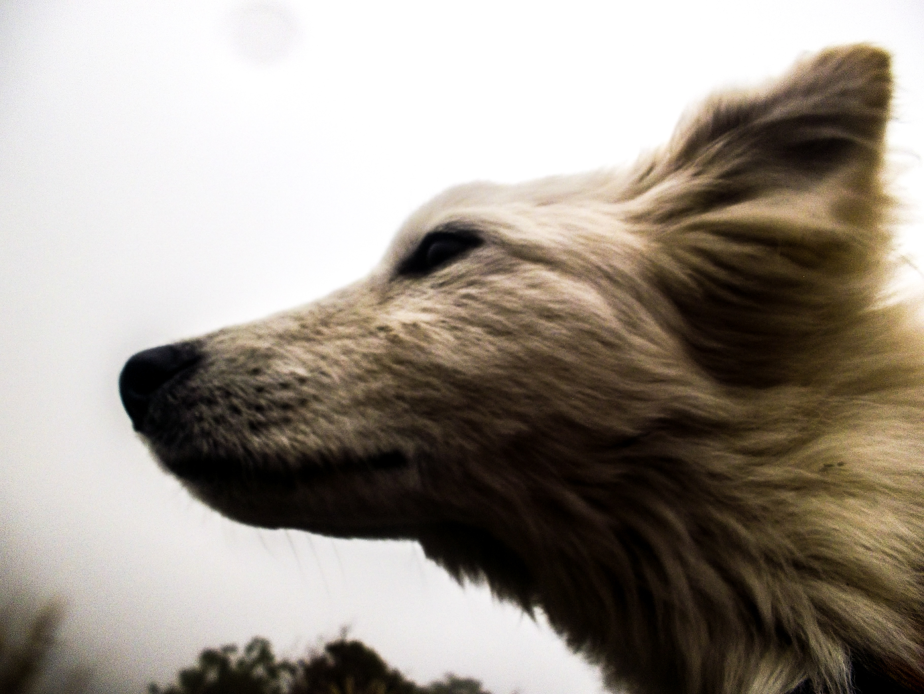 100_5141.jpg