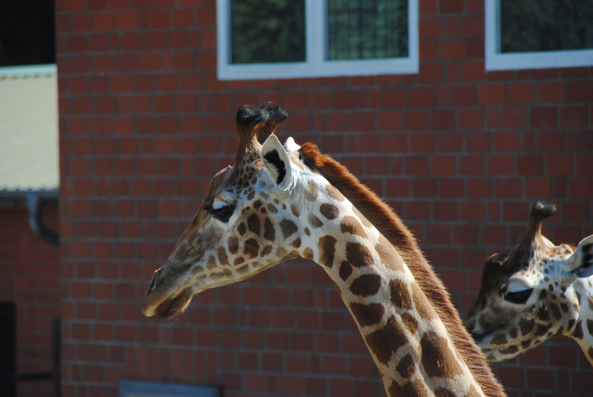 image059.jpg