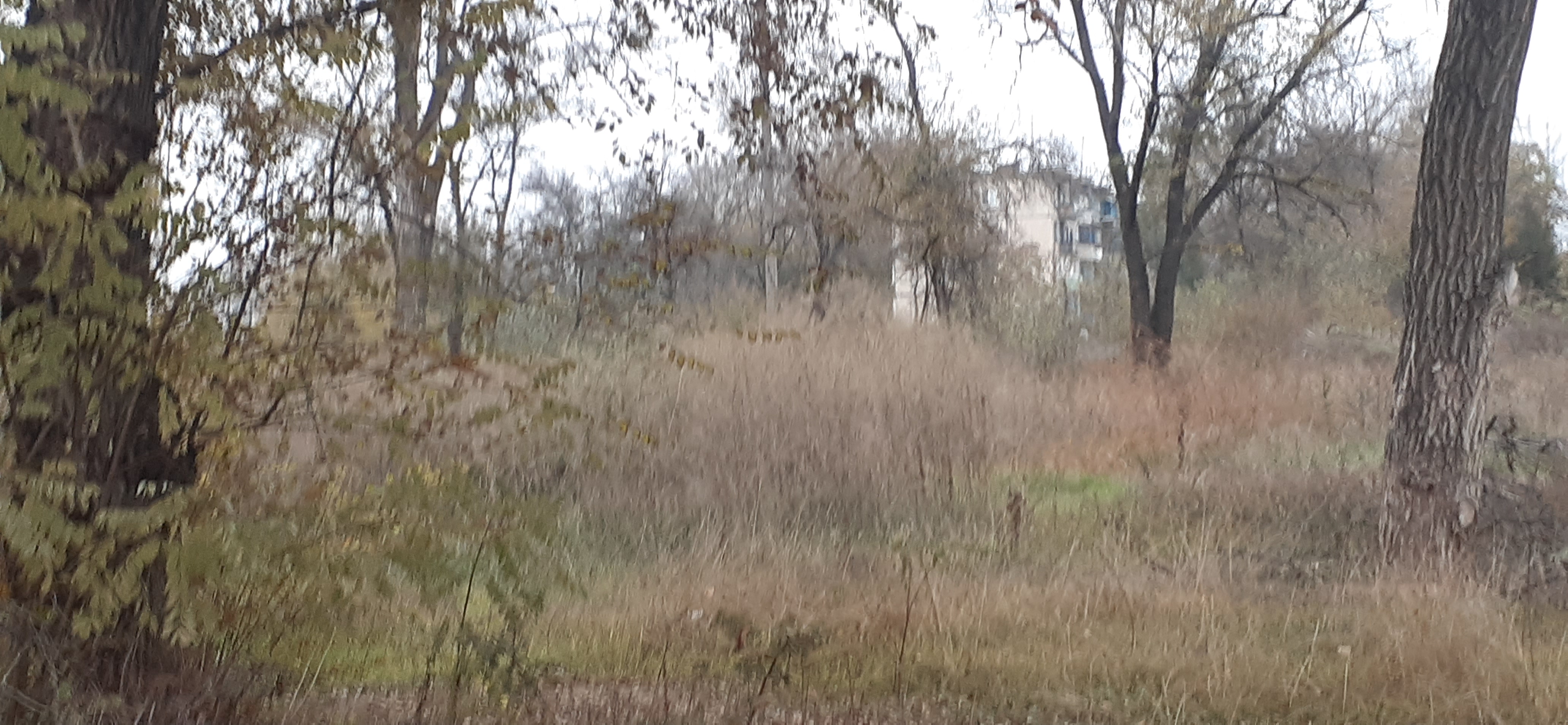 20201116_143635.jpg