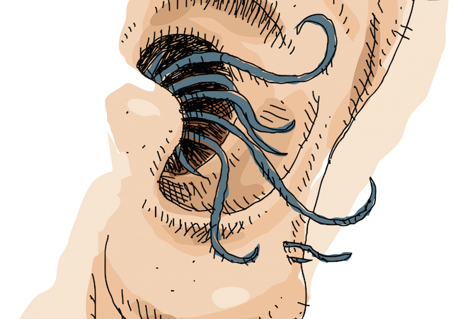 ear hair