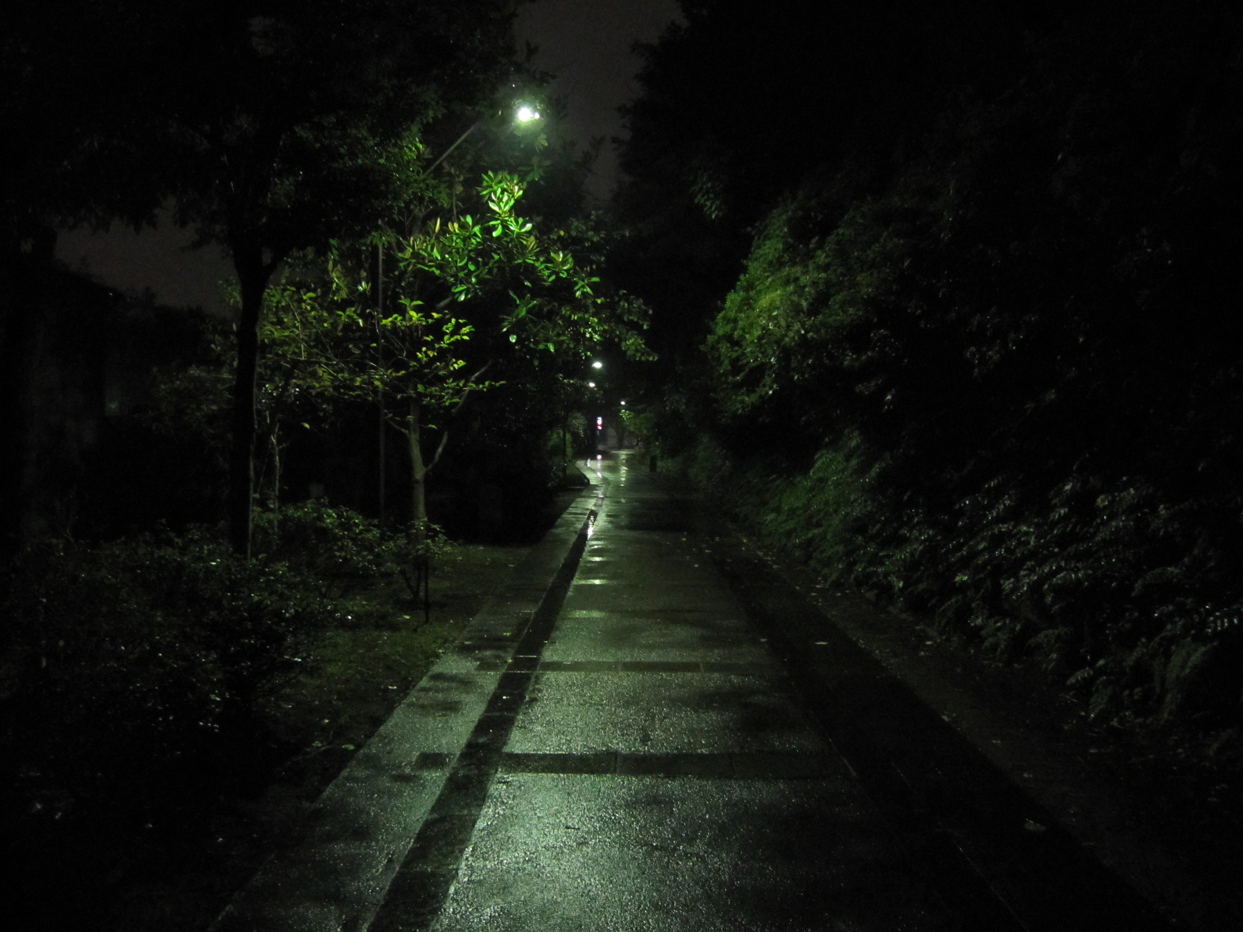 《飞鸟与夏花》每天一首自译飞鸟集（198/325） - Translate a poem form Stray Birds everyday