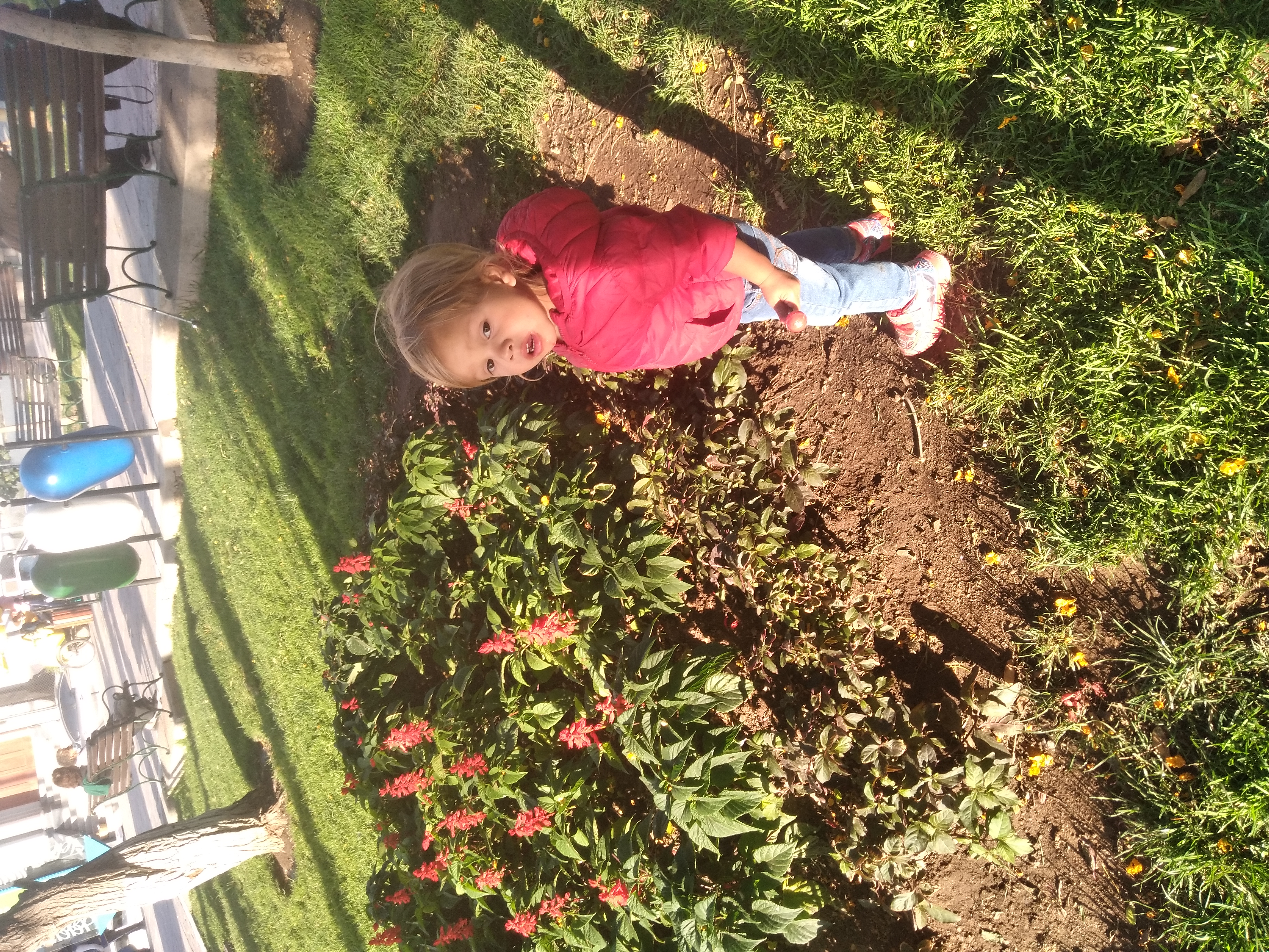 20210923_163904.jpg