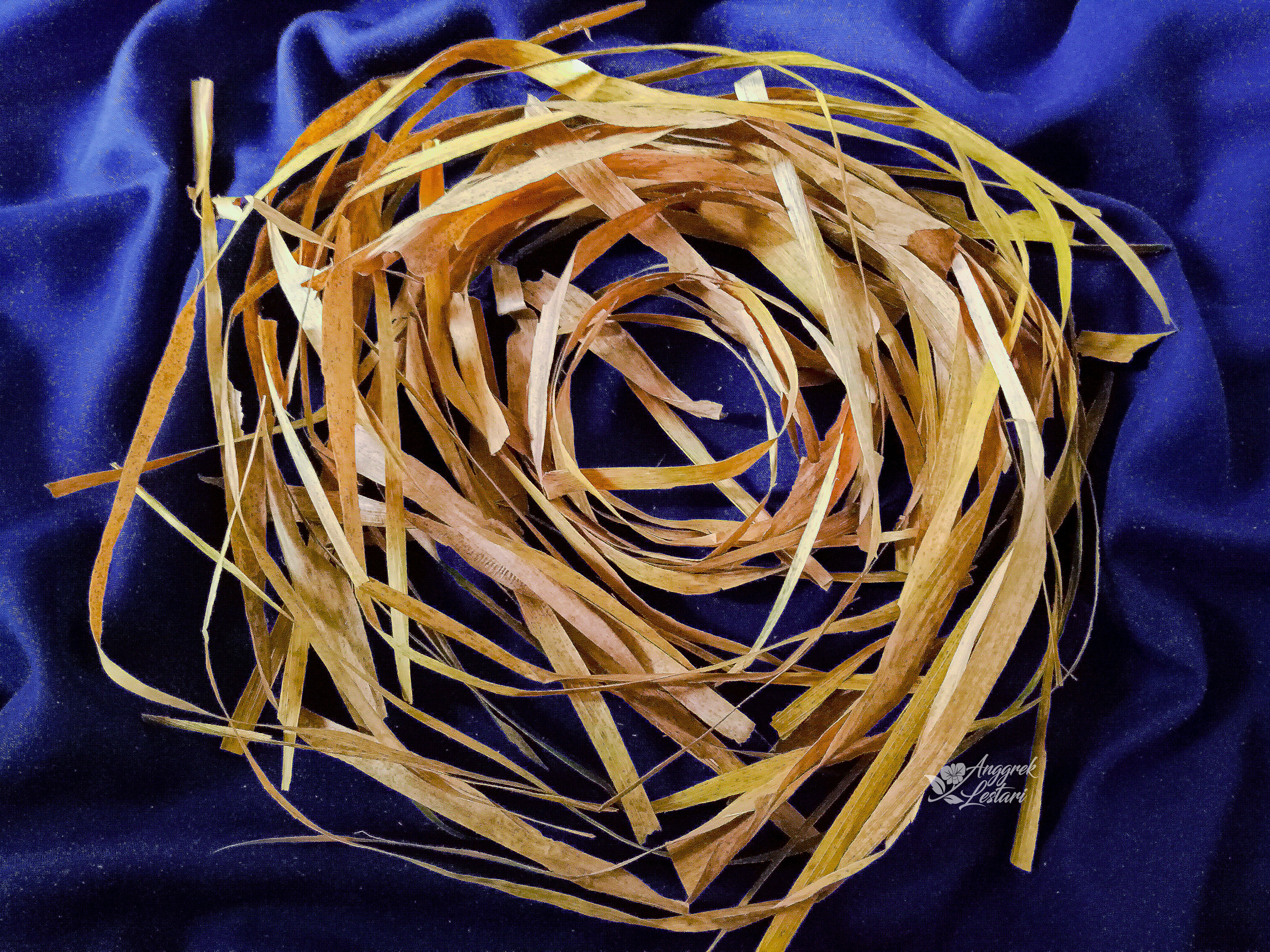 DRIED LEAVES.jpg