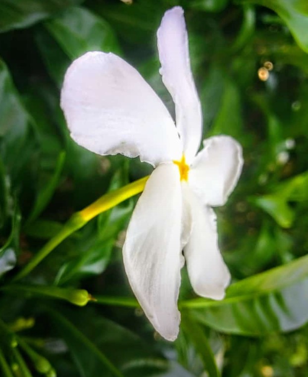 IMG_8406.PNG