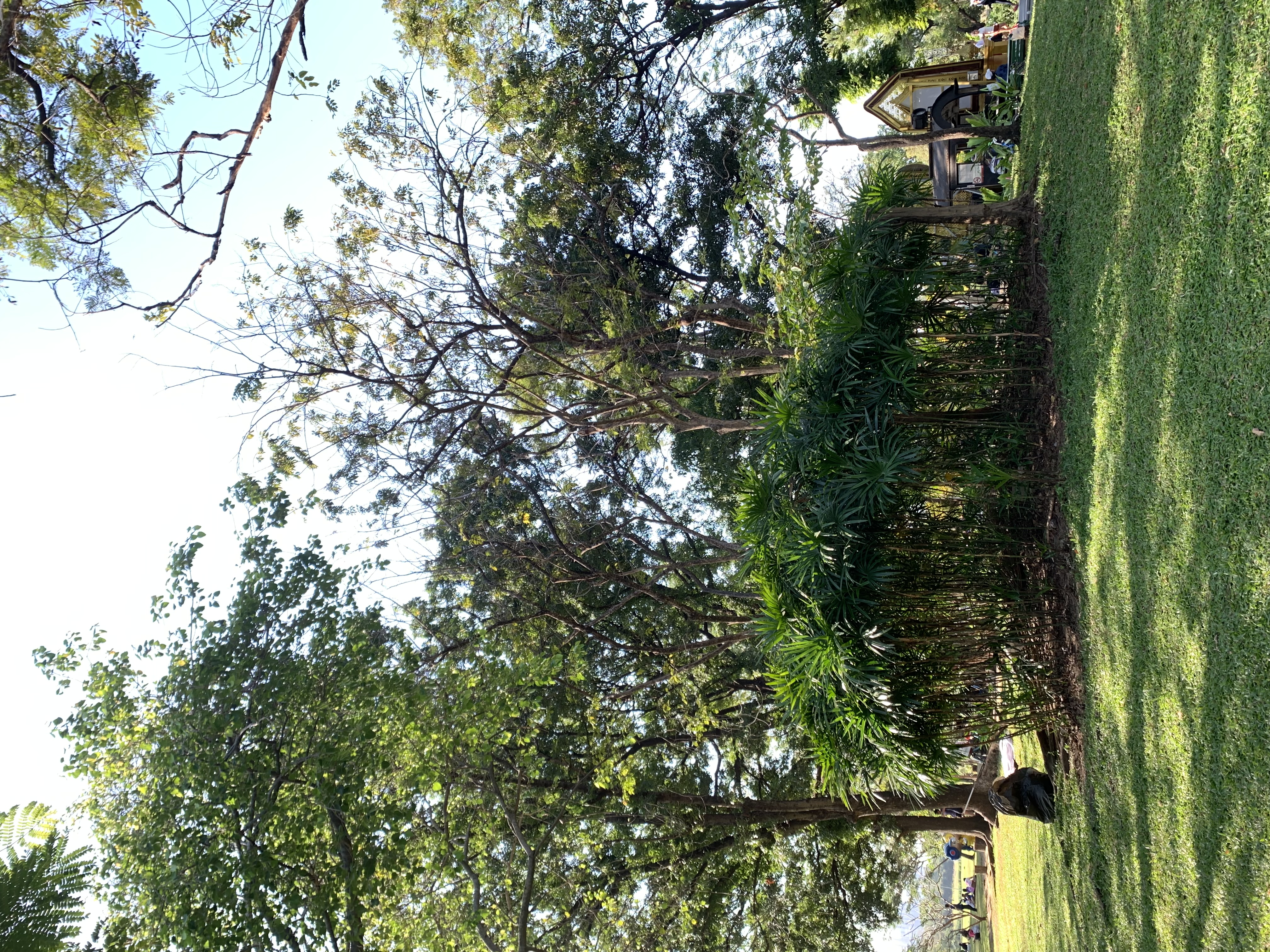 Suan Rot Fai101.jpg