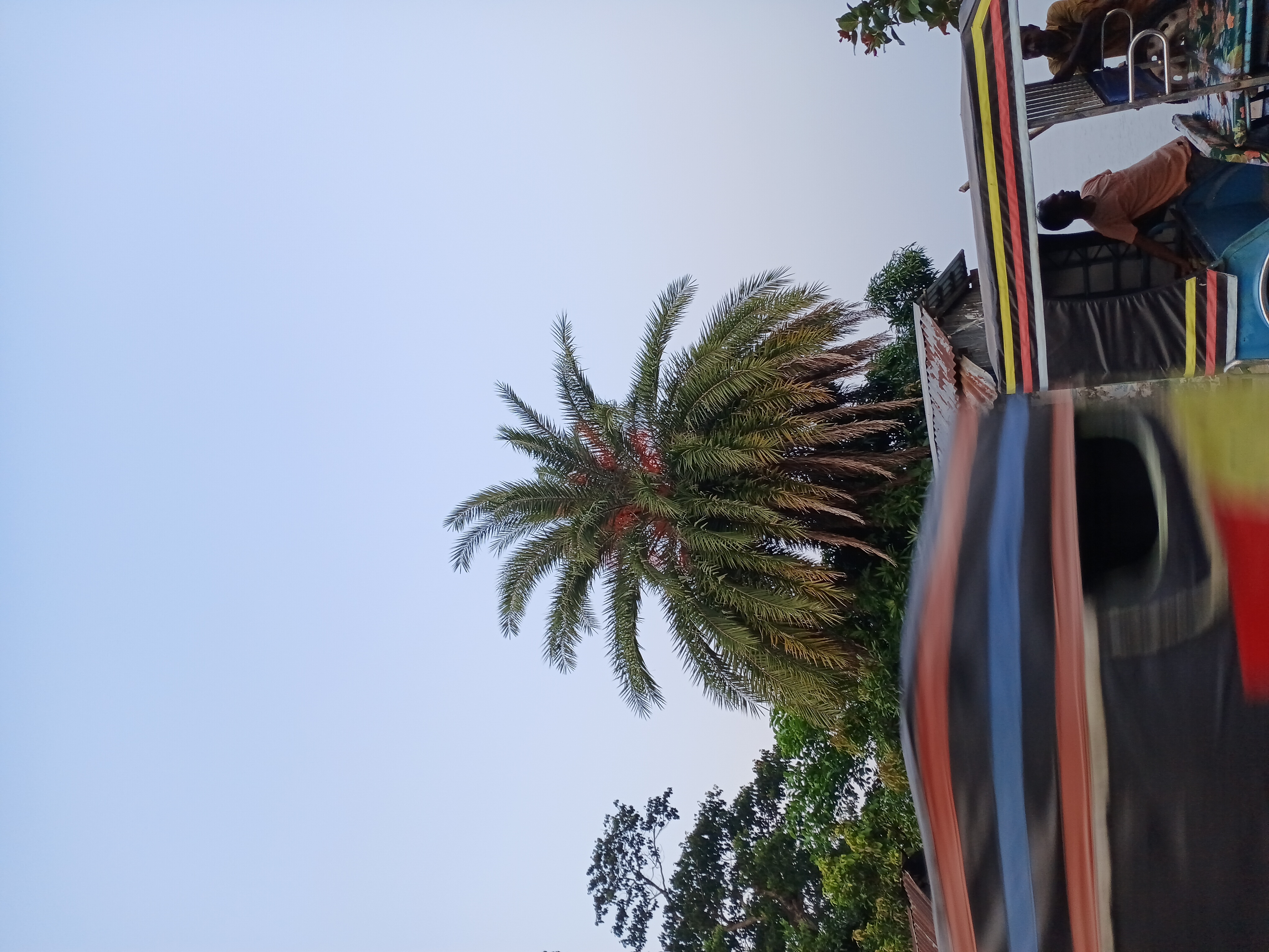 41741.jpg
