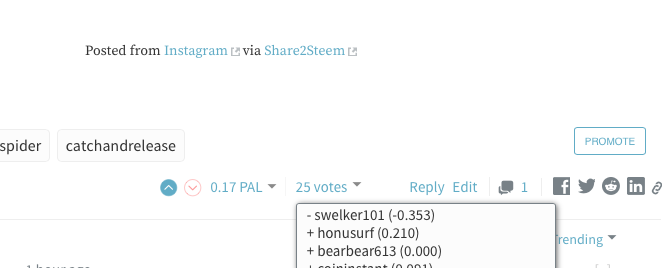 Screen Shot 2019-06-28 at 10.53.41 AM.png
