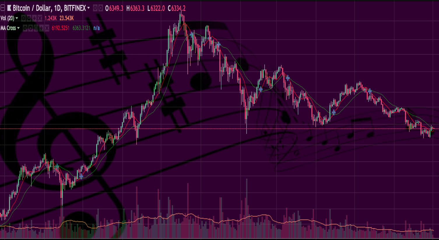 BTC y Musica flotando.jpg