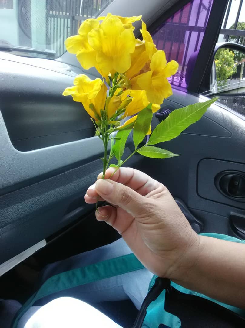 IMG-20190726-WA0027.jpg