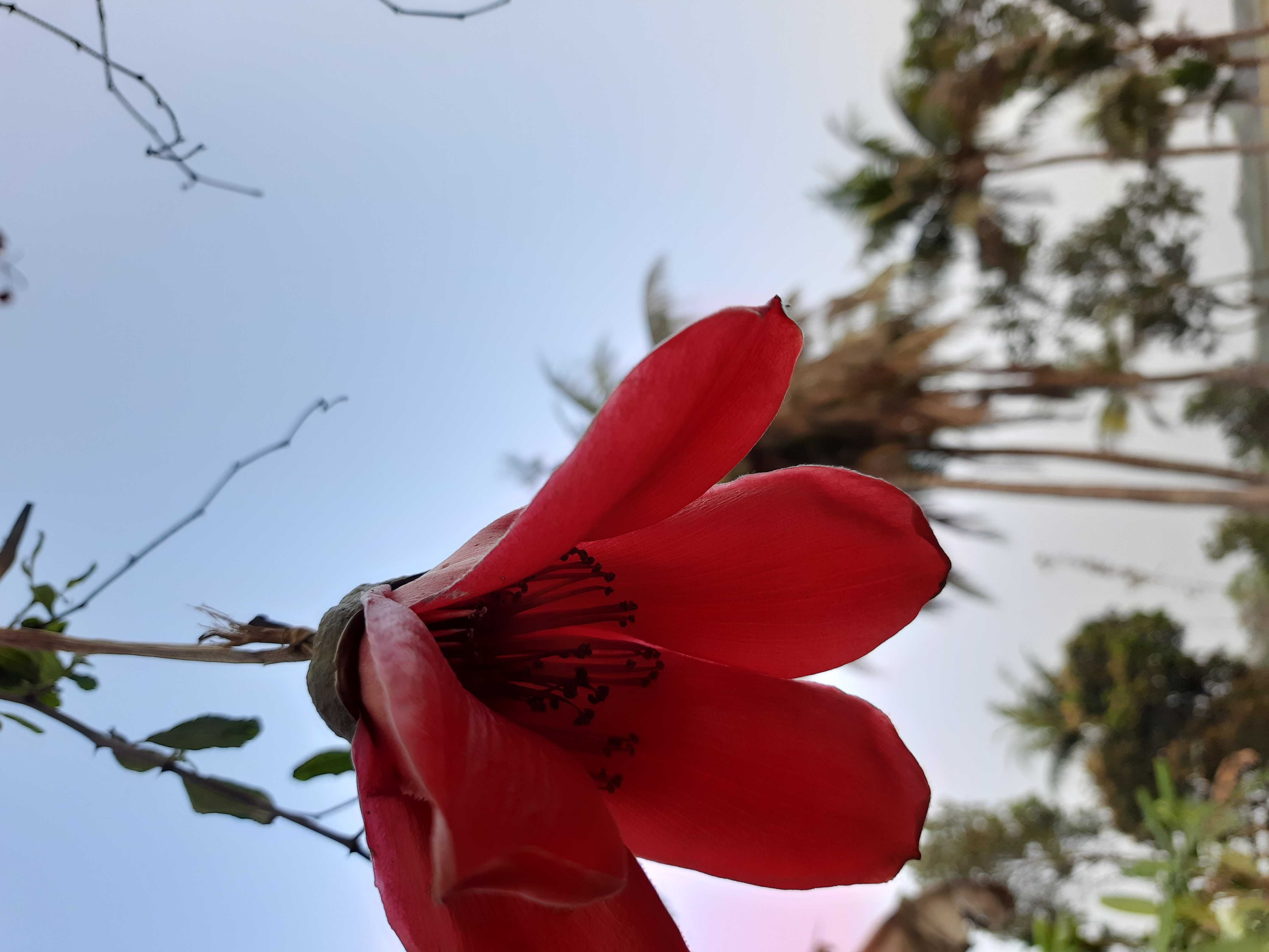 20230226_171016.jpg
